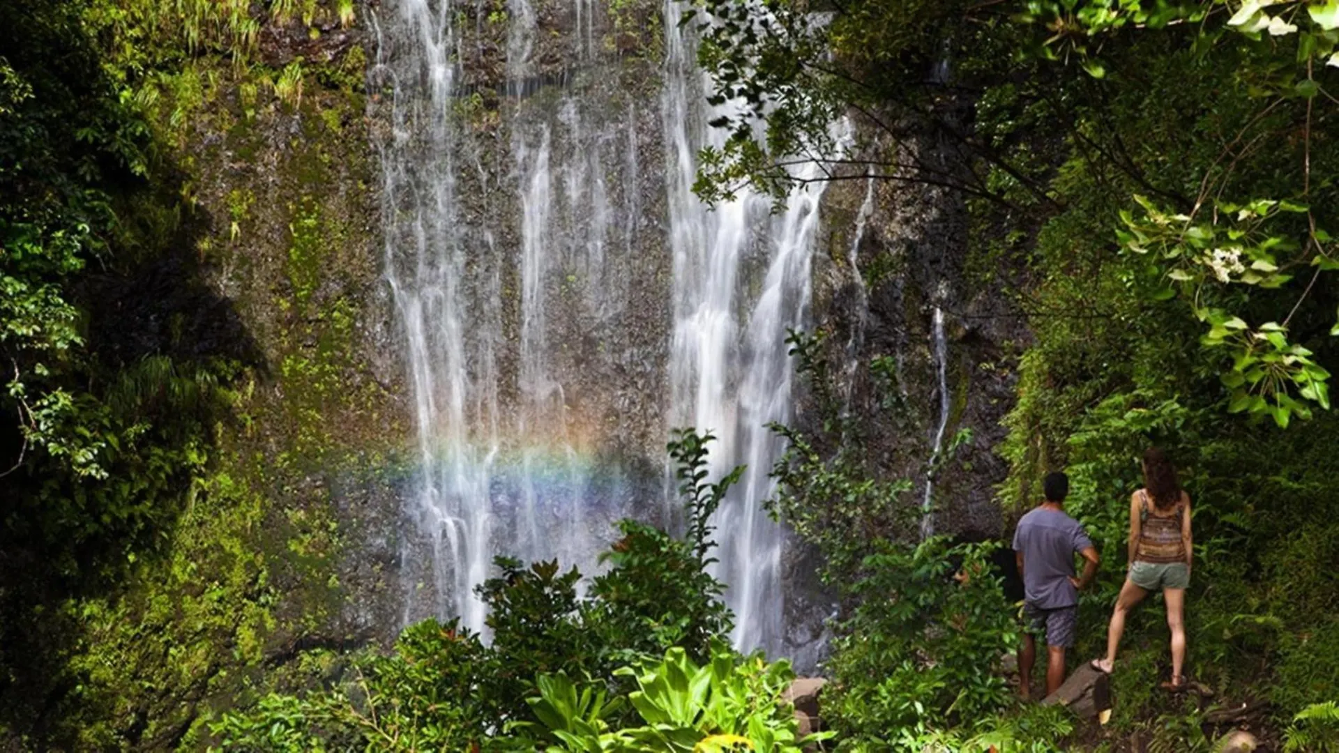 Kaleialoha 309