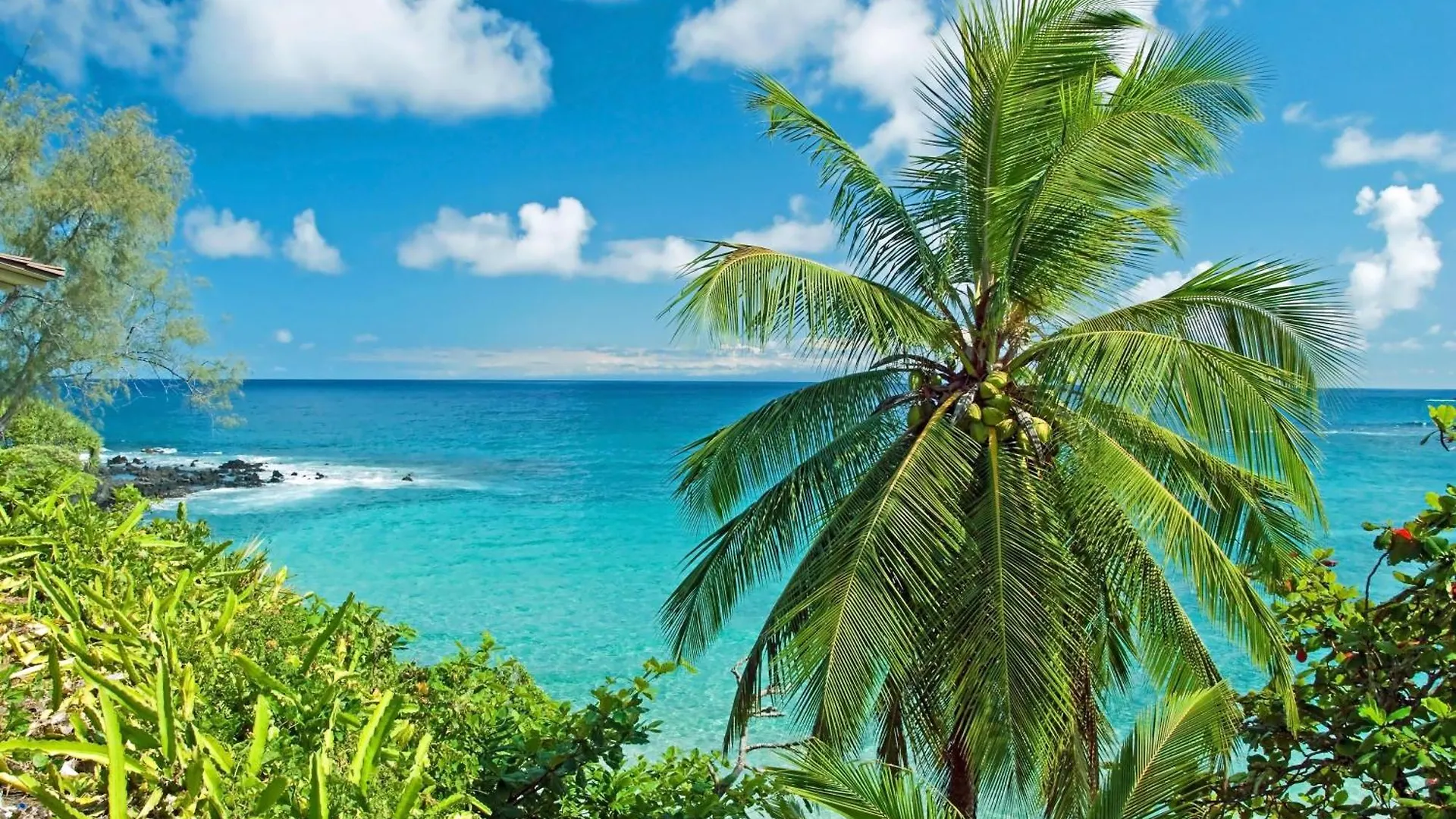 Milowai 302 Holiday home Wailuku