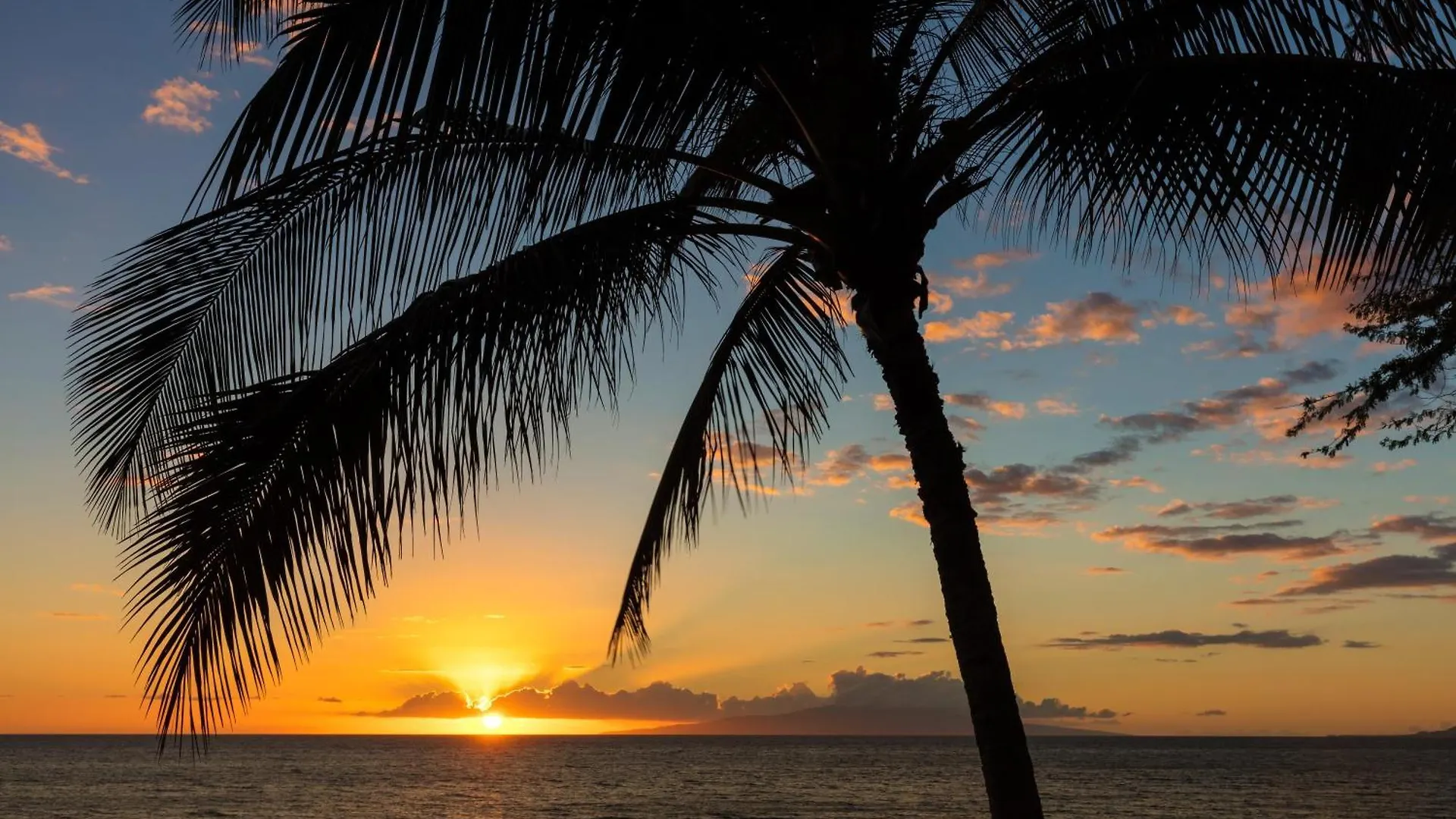 Dom wakacyjny Maui Kaanapali 415