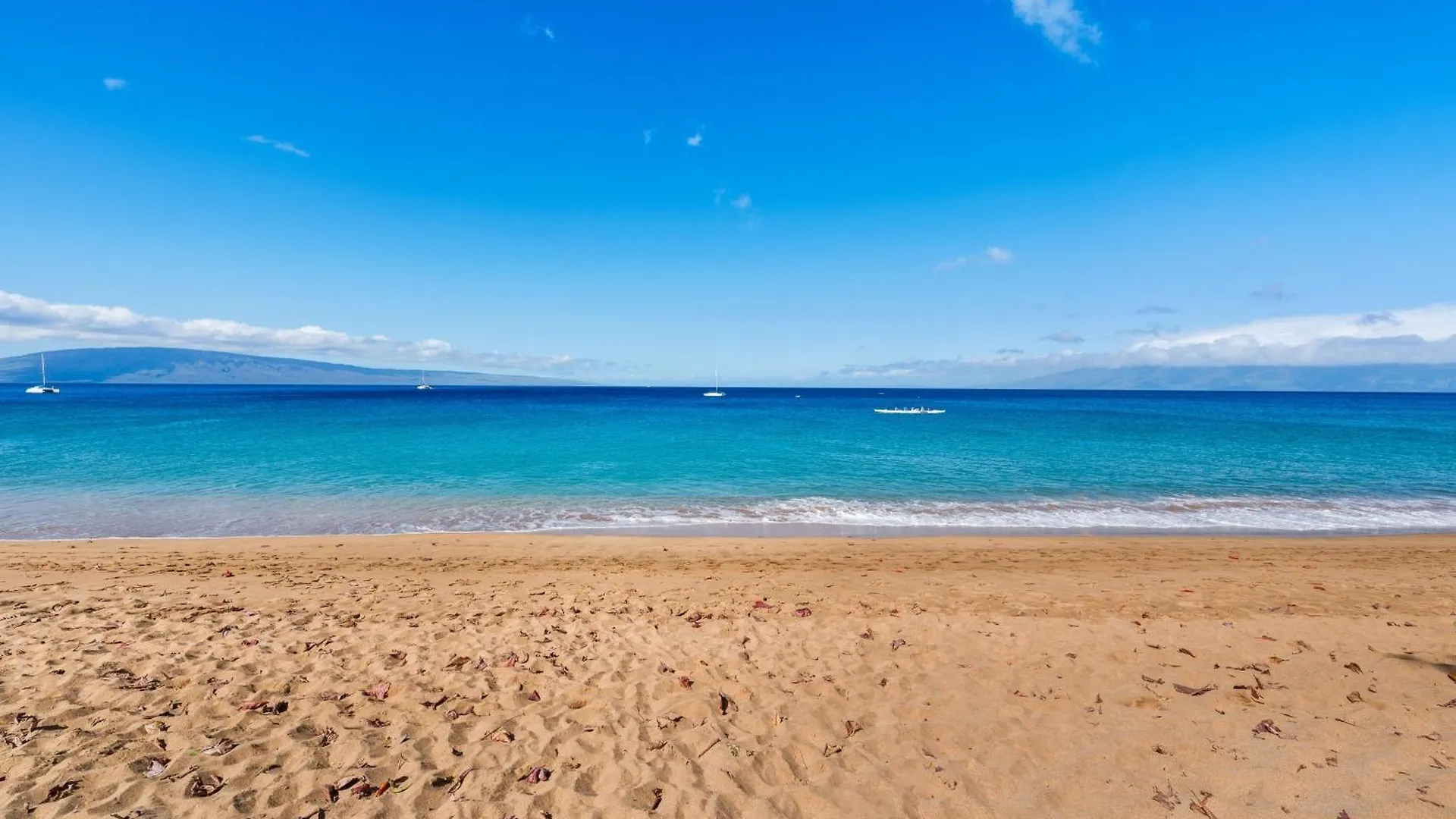 Maui Kaanapali 415 Dom wakacyjny *