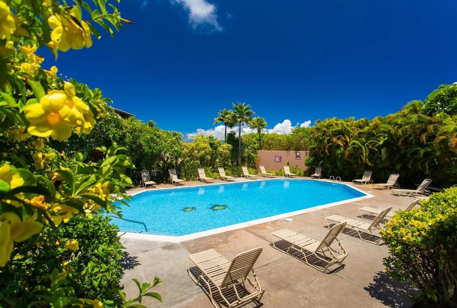1722 Ridge Apartment Kahana