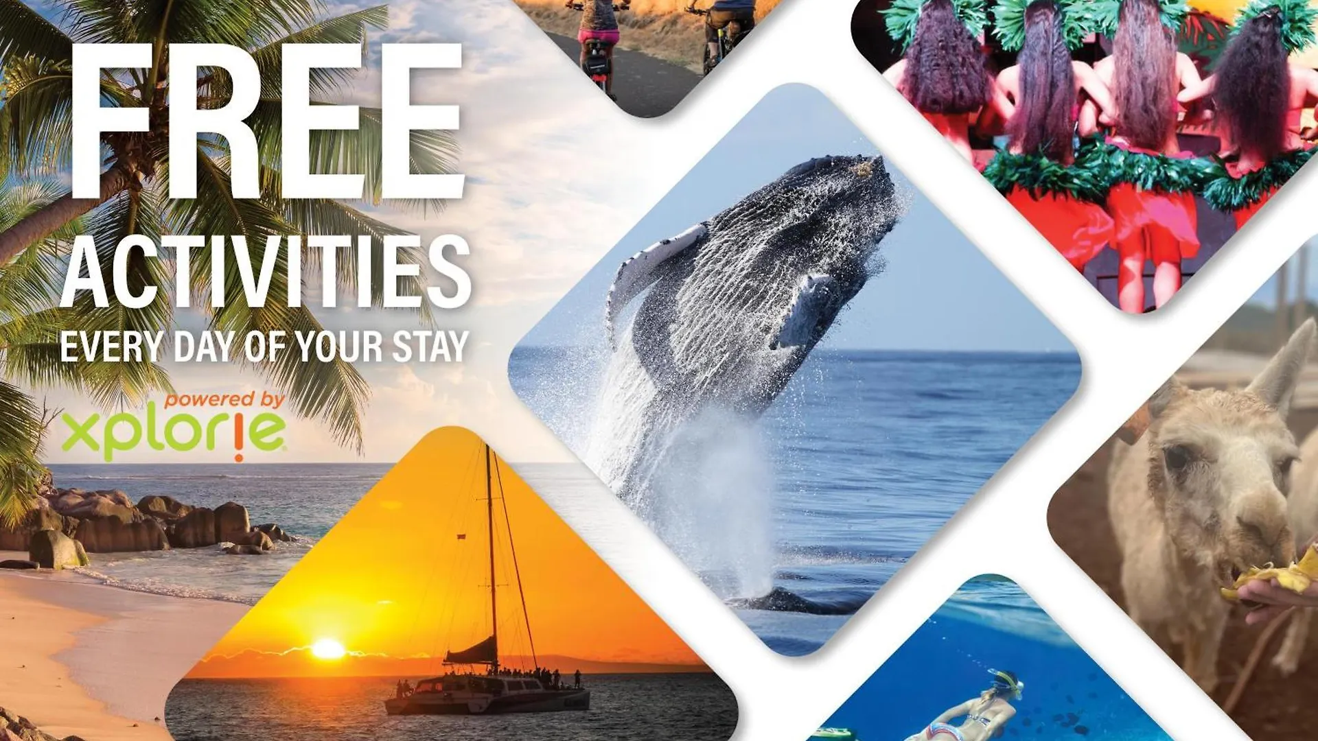 Holiday home Alii 456
