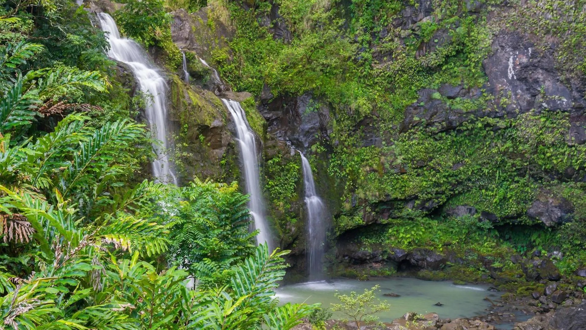 Hale Ono Loa 104 Kahana