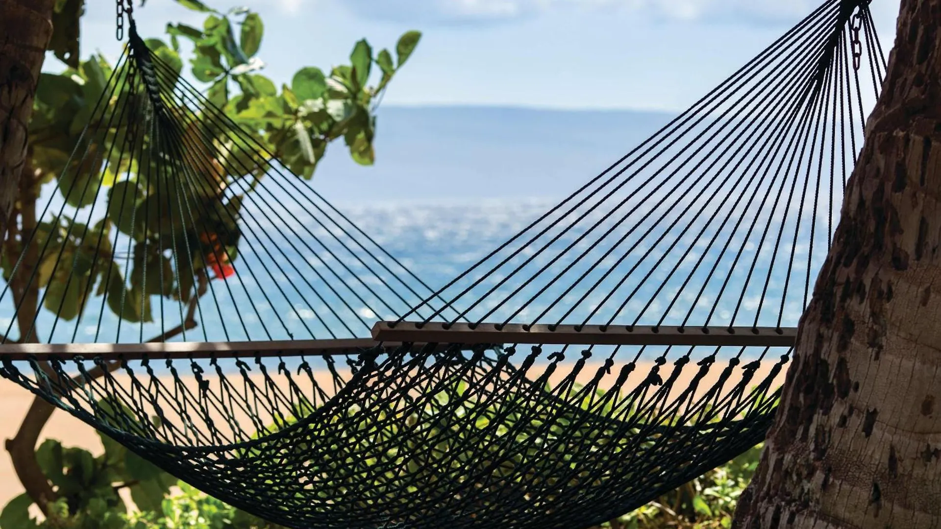 Marriott's Maui Ocean Club - & Napili Towers