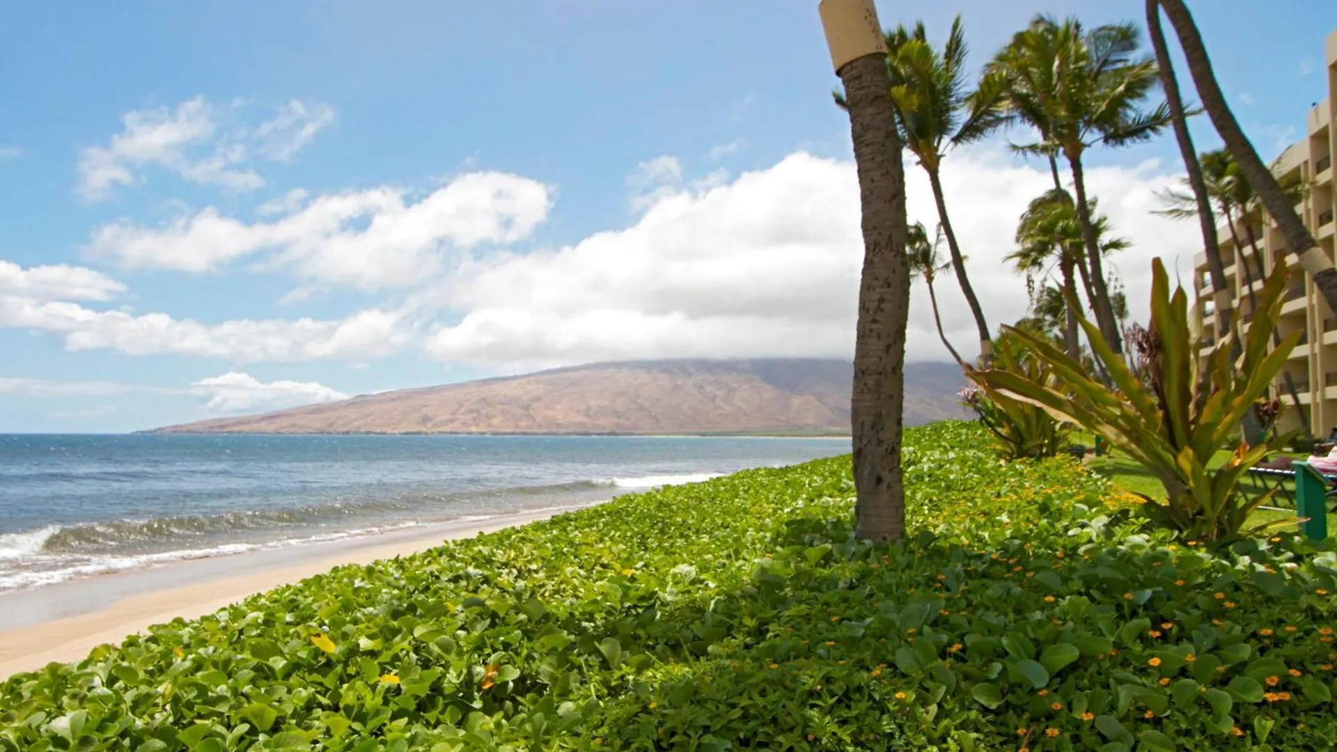 Holiday home Sugar 425 - Mch Kihei