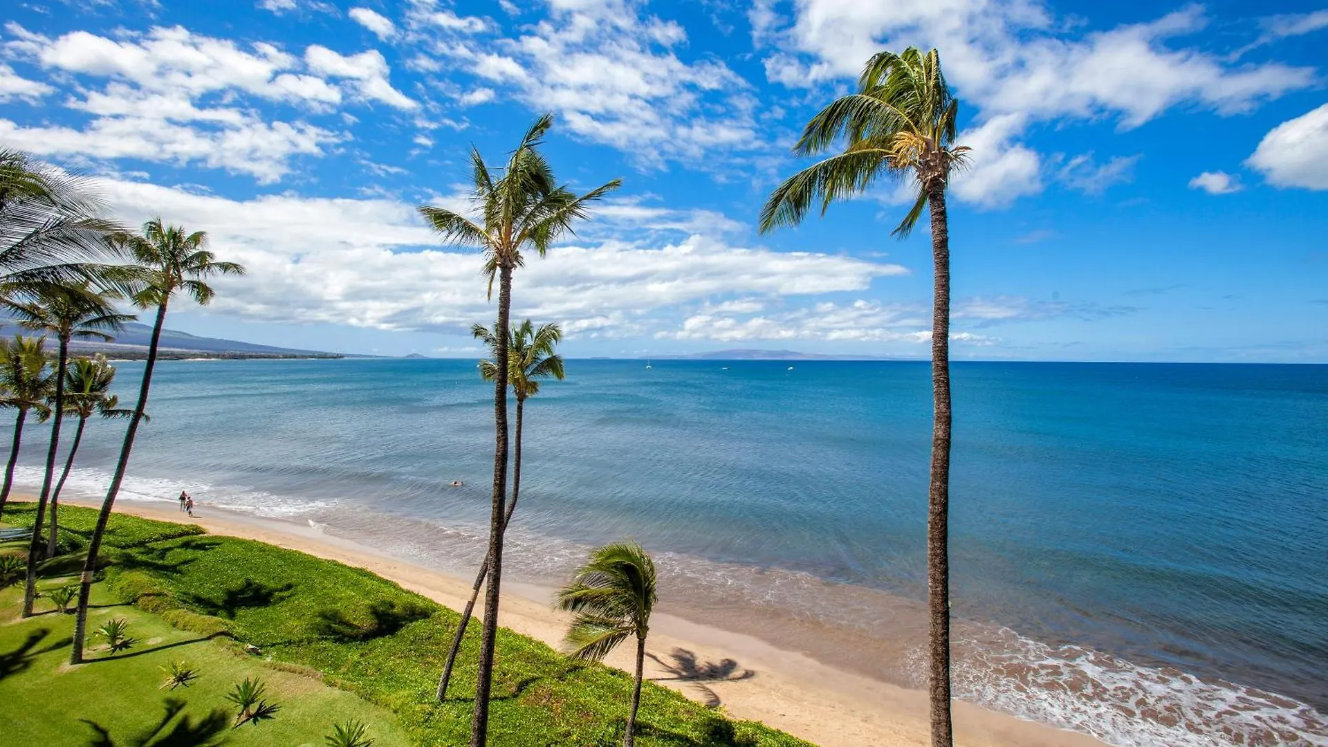 Sugar 425 - Mch Kihei