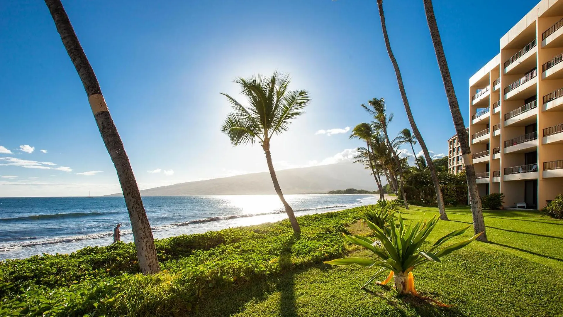 Sugar 425 - Mch Kihei