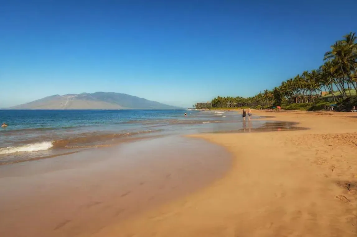 Aparthotel Renovated - 3 Min Walk To Toes In The Sand!