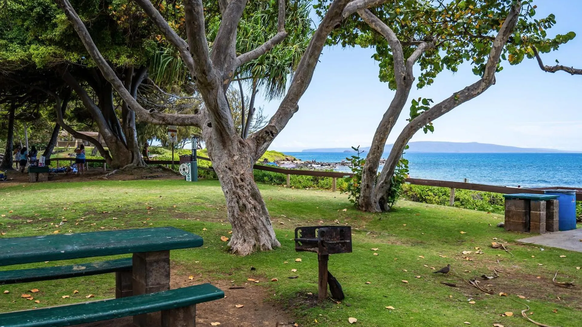 Renovated - 3 Min Walk To Toes In The Sand! Aparthotel
