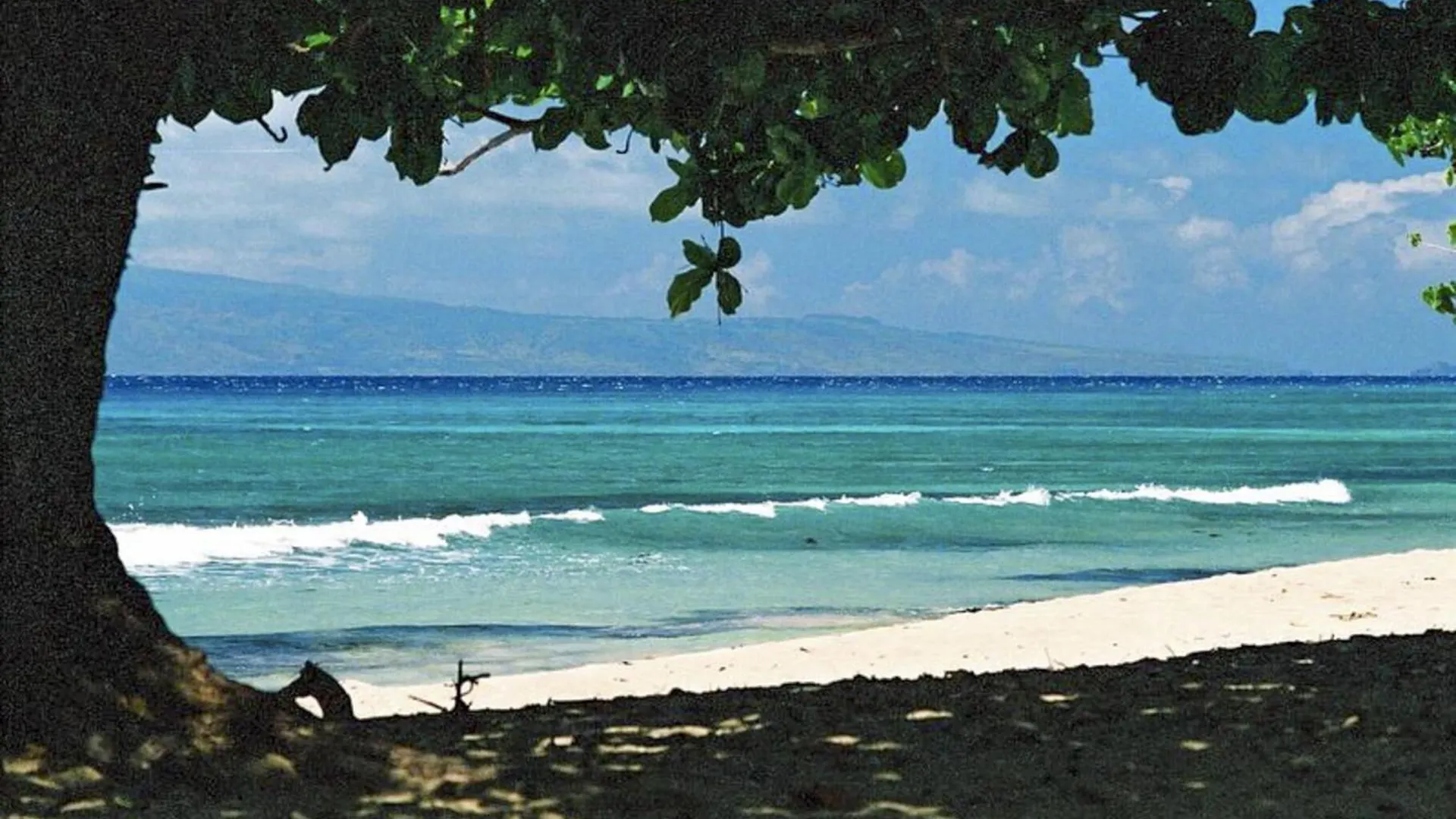 Apartment Polynesian Shores 118