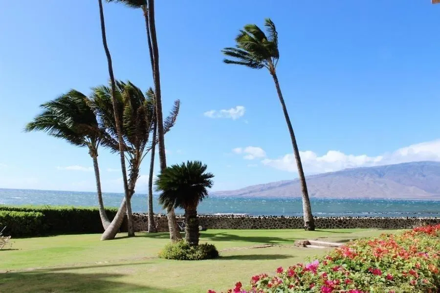 Menehune Shores #118 公寓
