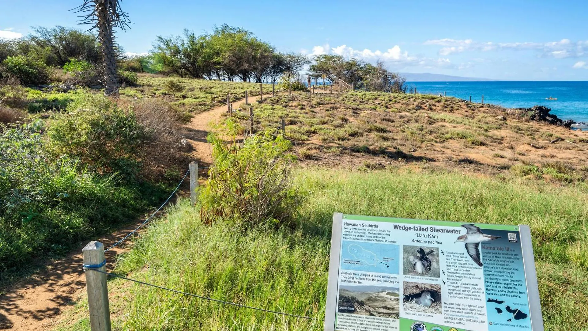 Hale Kamaole 171 * Wailea (Maui)