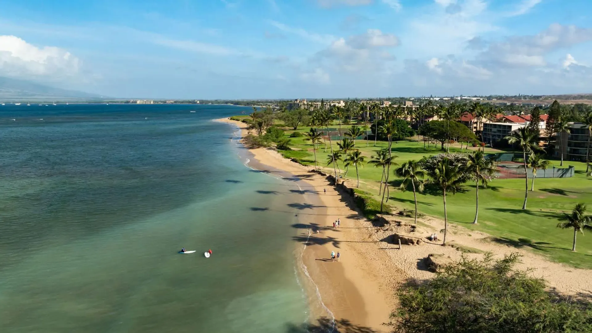 Luxury Maui Escape Ocean Views & Amenities *