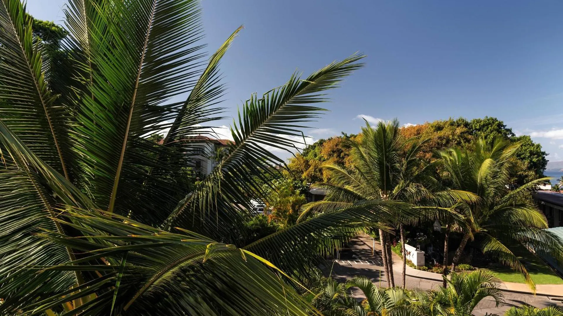 Wailea - Marriott, Maui