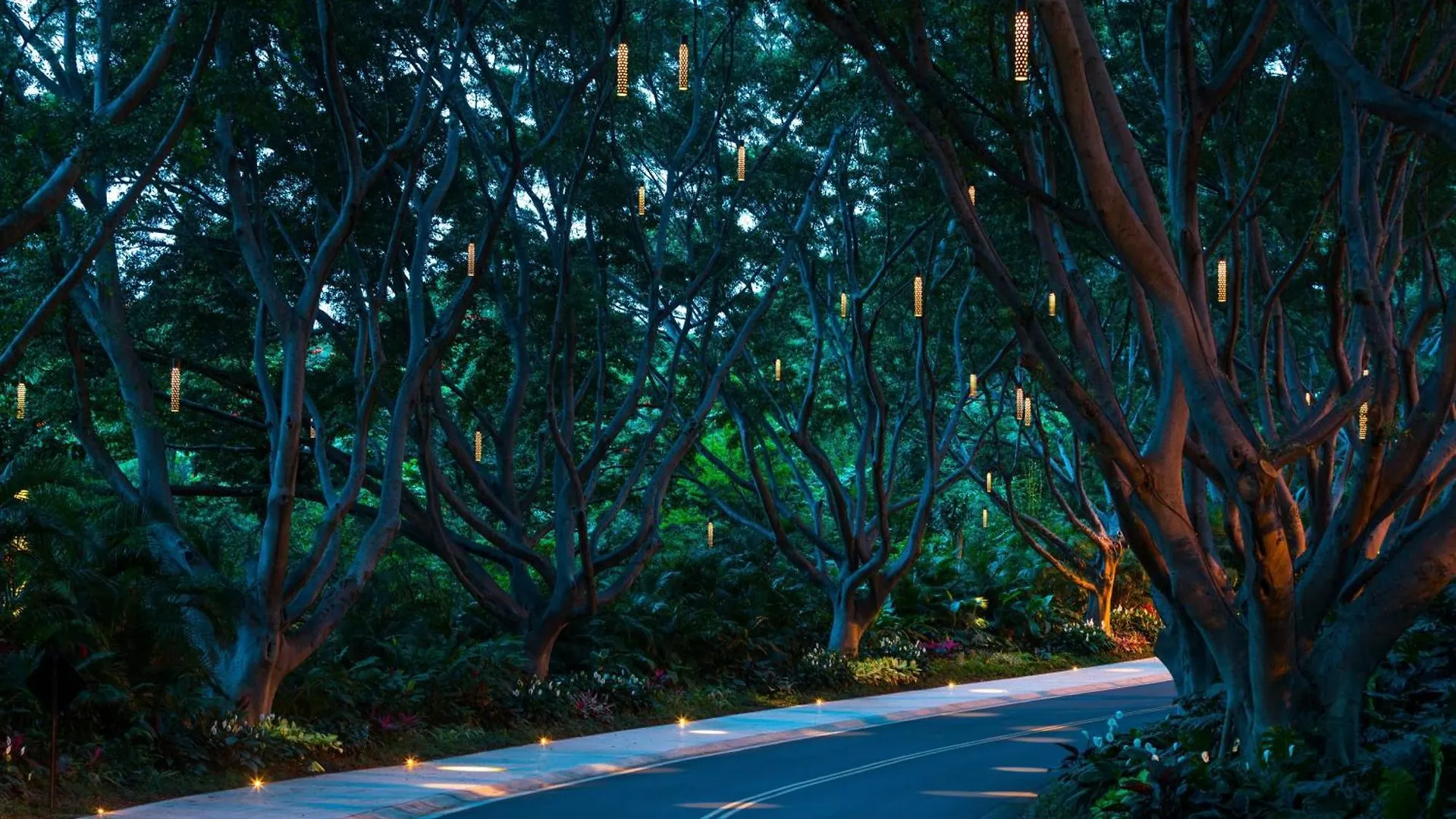 Wailea - Marriott, Maui