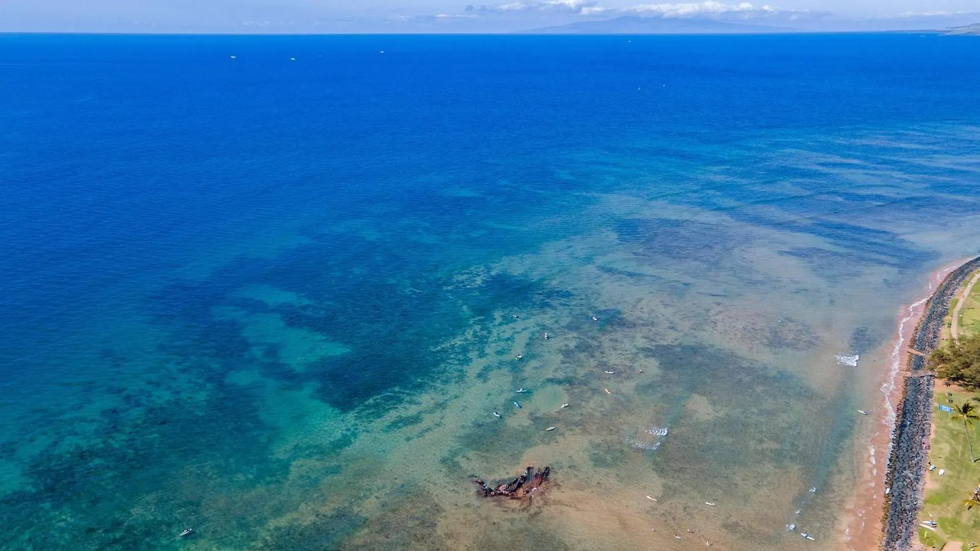Kalama Terrace P-307 Kihei