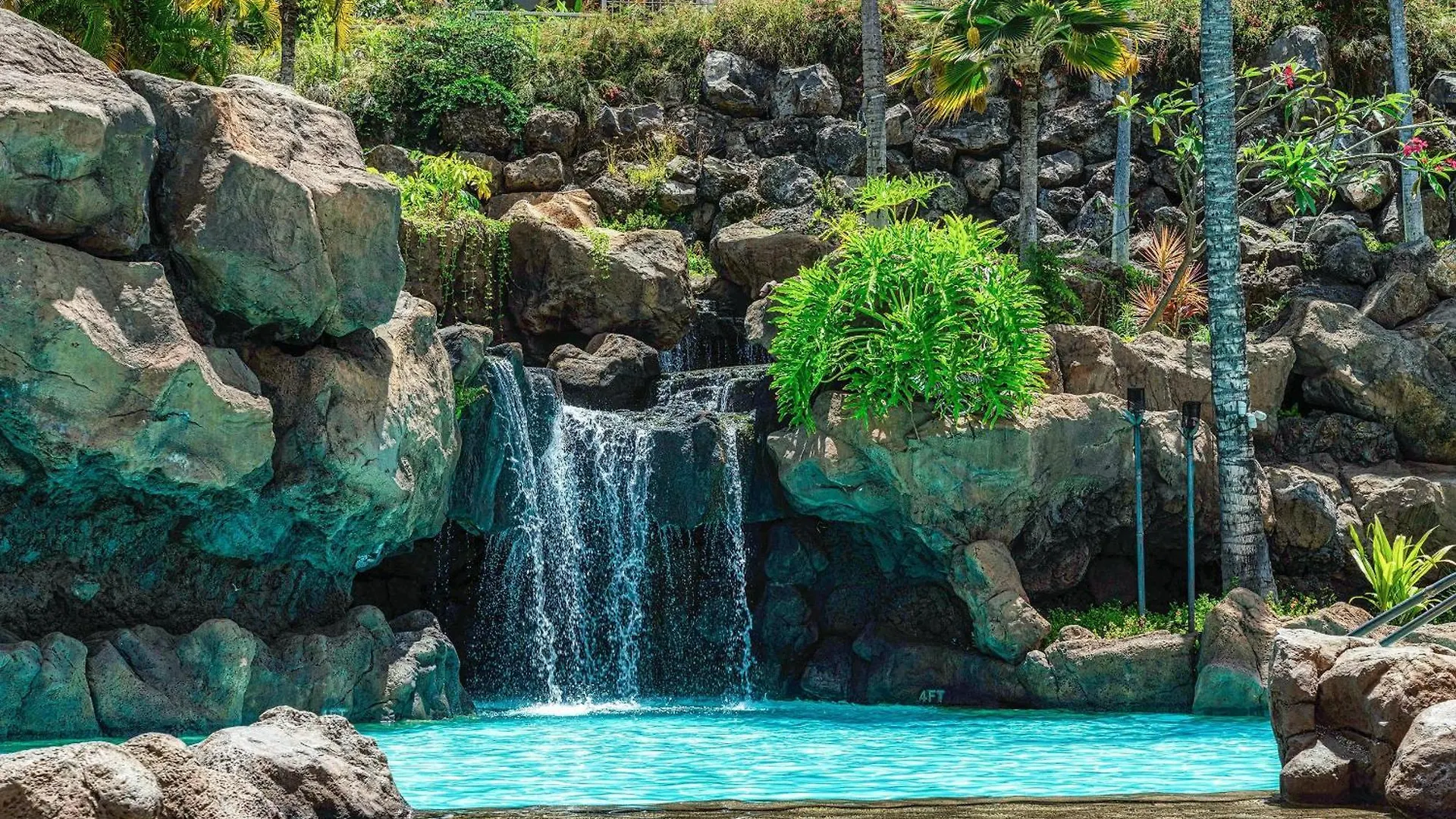 Ho'olei Unit 12-2 Wailea (Maui)