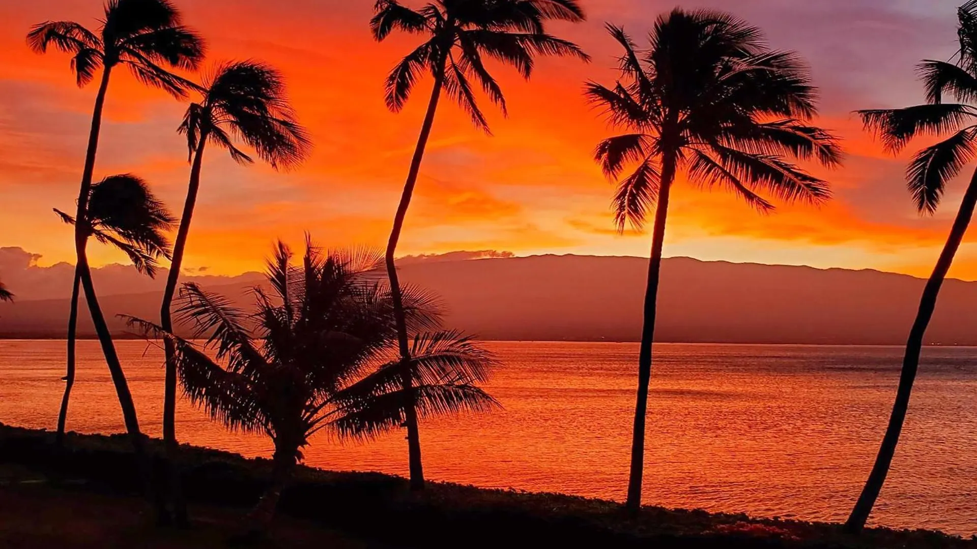 Holiday home Maalaea Banyans 204