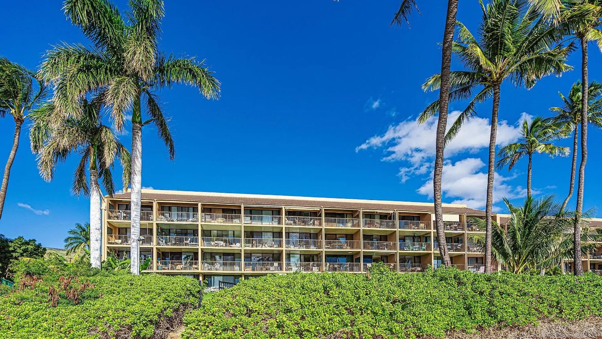 Maalaea Banyans 204
