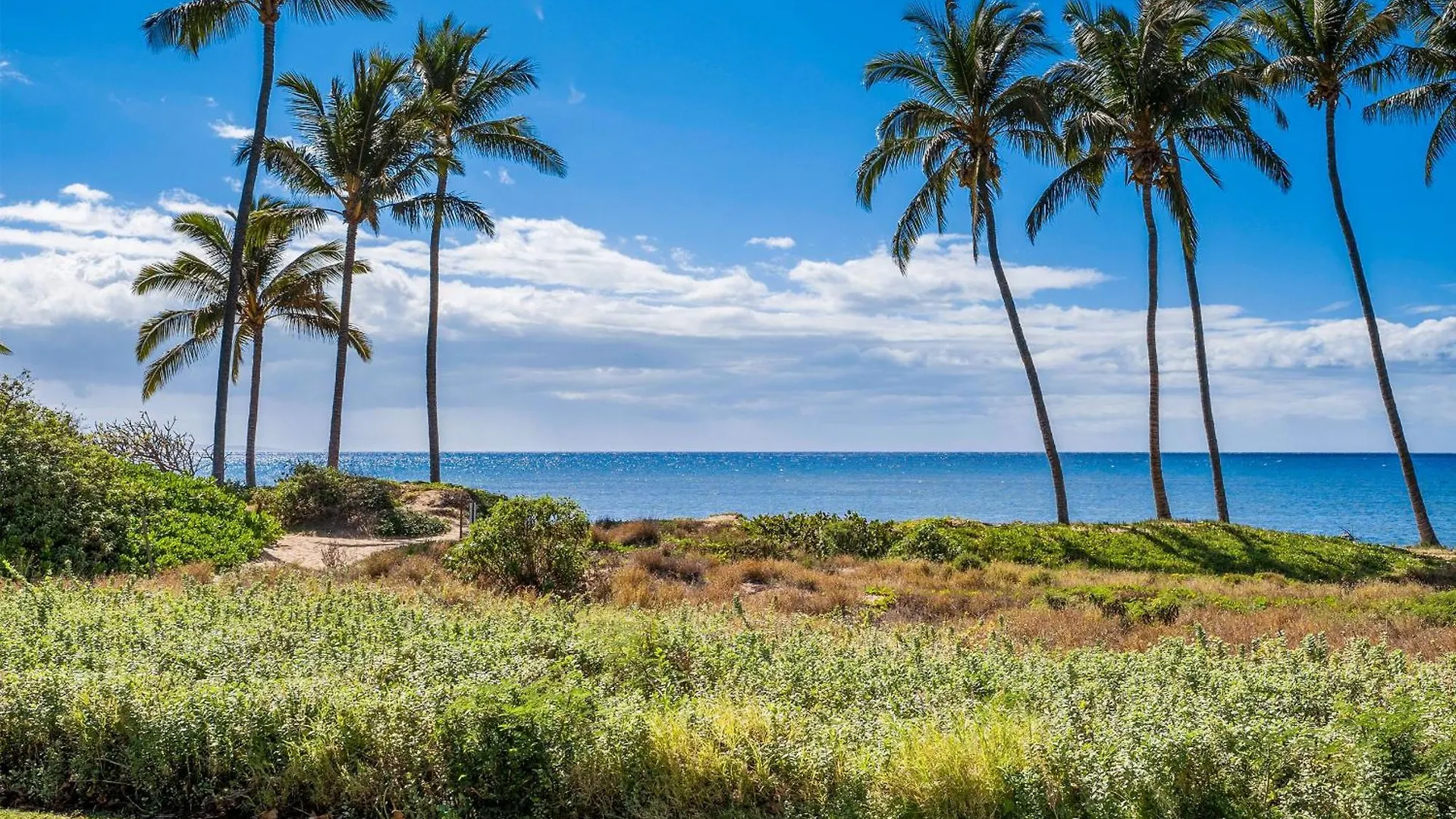 Ocean Front Hale Prázdninový dům Kihei