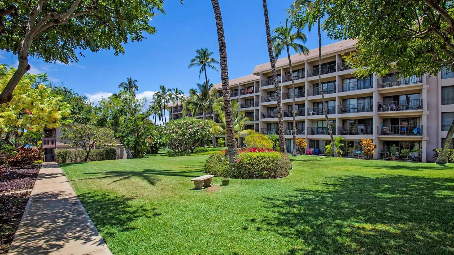 Kihei Akahi C-411 *