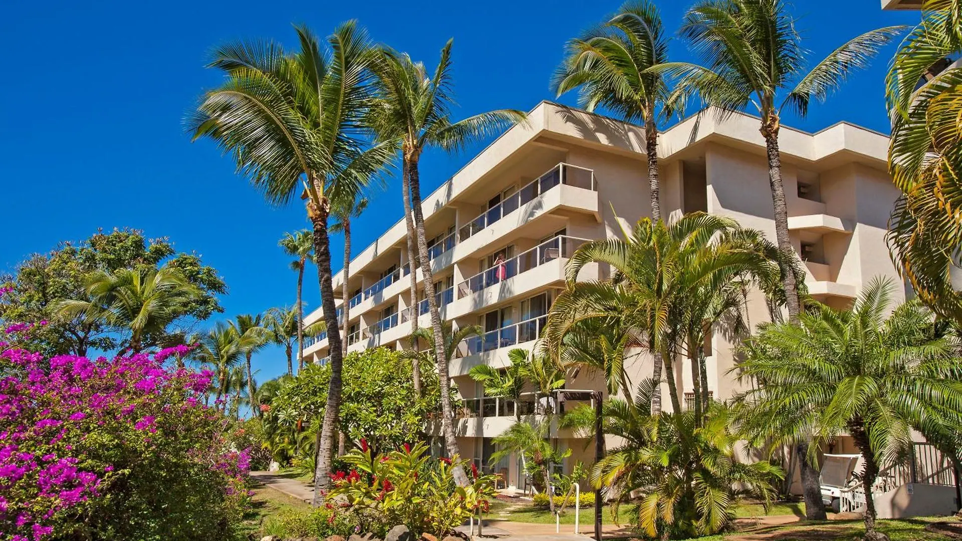 Maui Banyan H308 - Mch