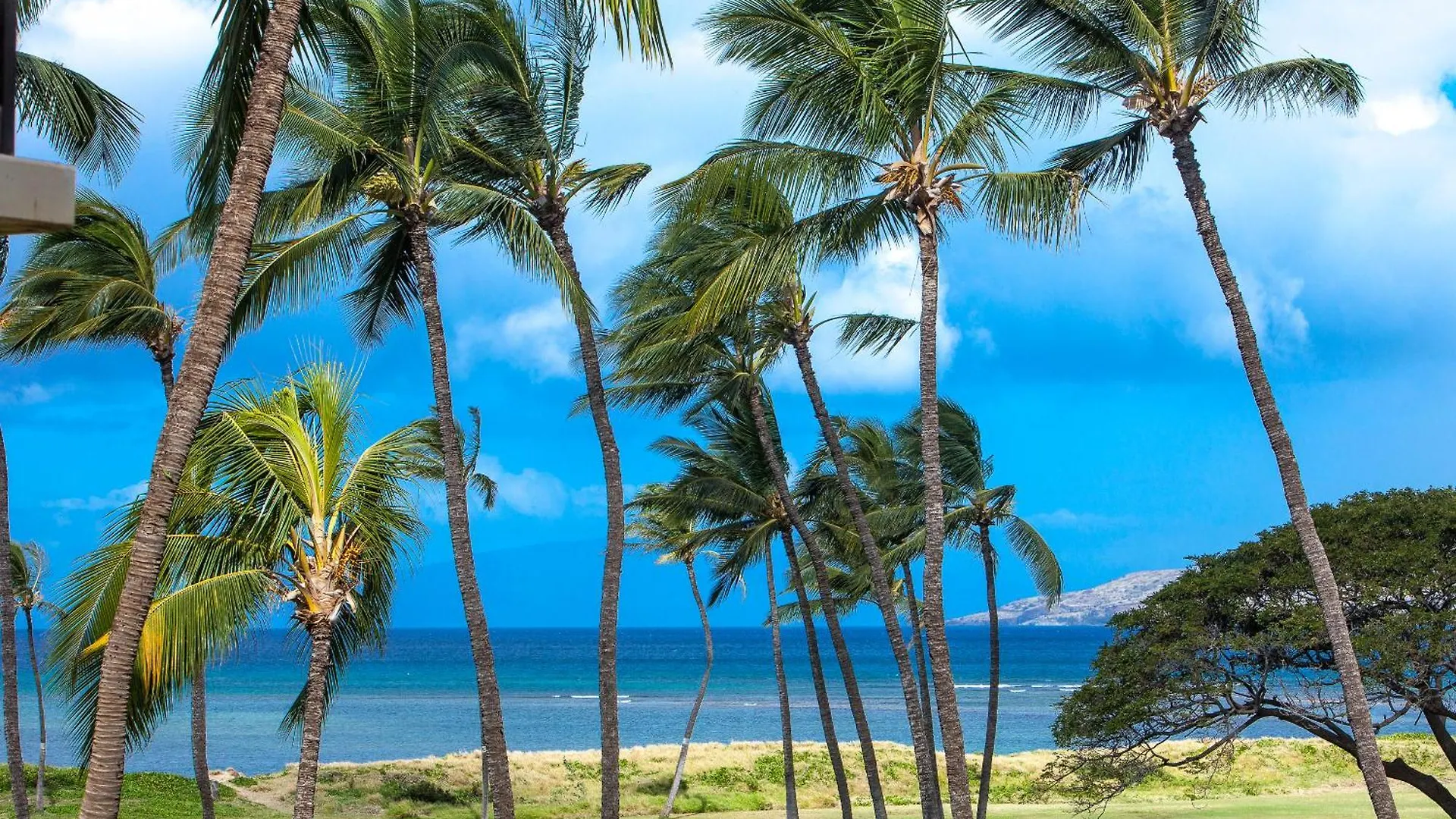 Σπίτι διακοπών Kauhale Makai 512 - Mch Kihei
