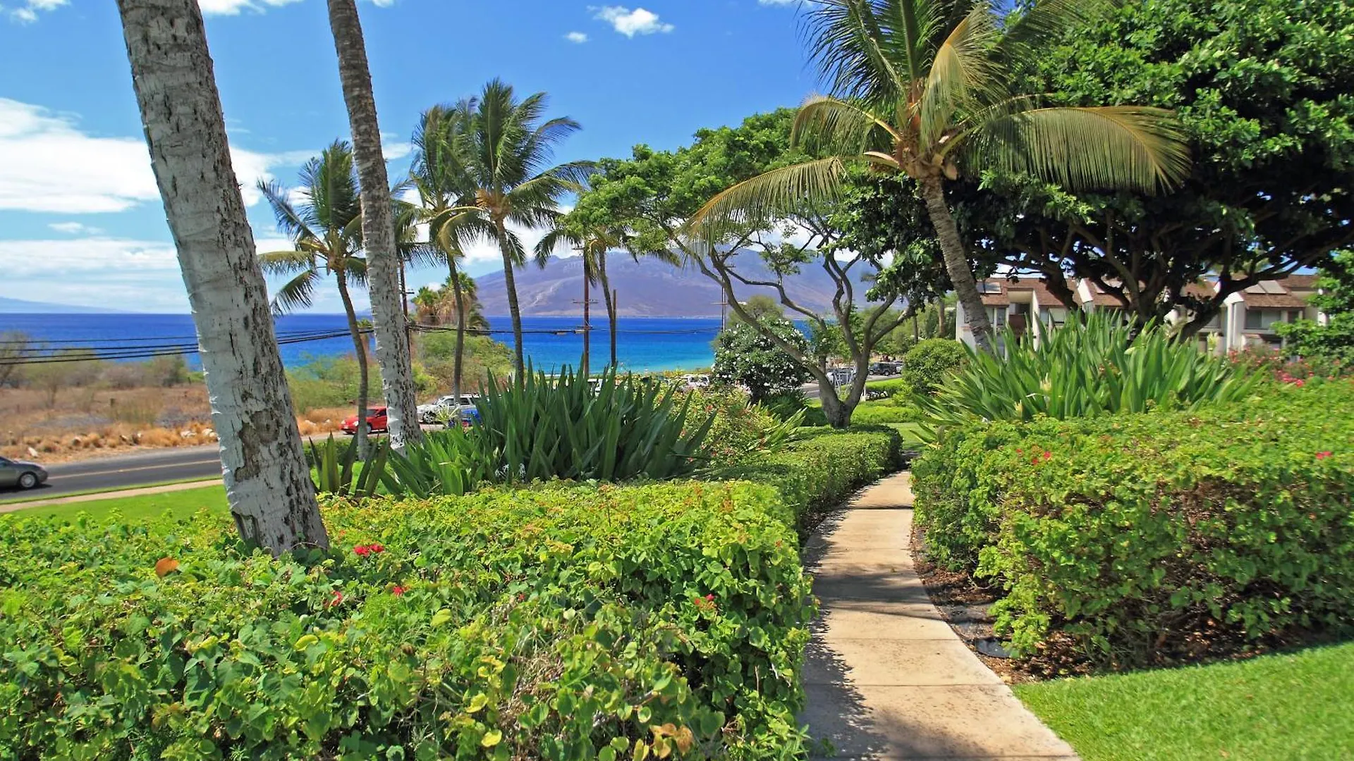Maui Kamaole A205 - Mch Kihei