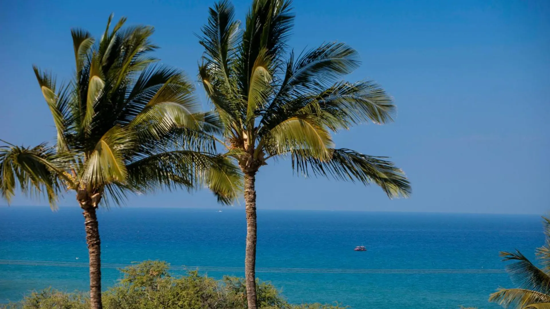 Holiday home Maui Kamaole I212 - Mch *