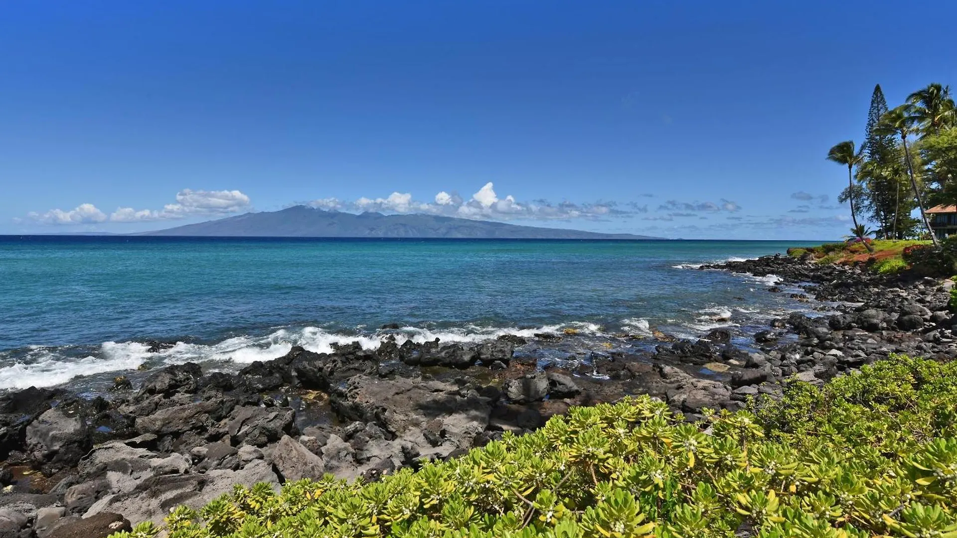 Oceanfront Kuleana Special!!! *