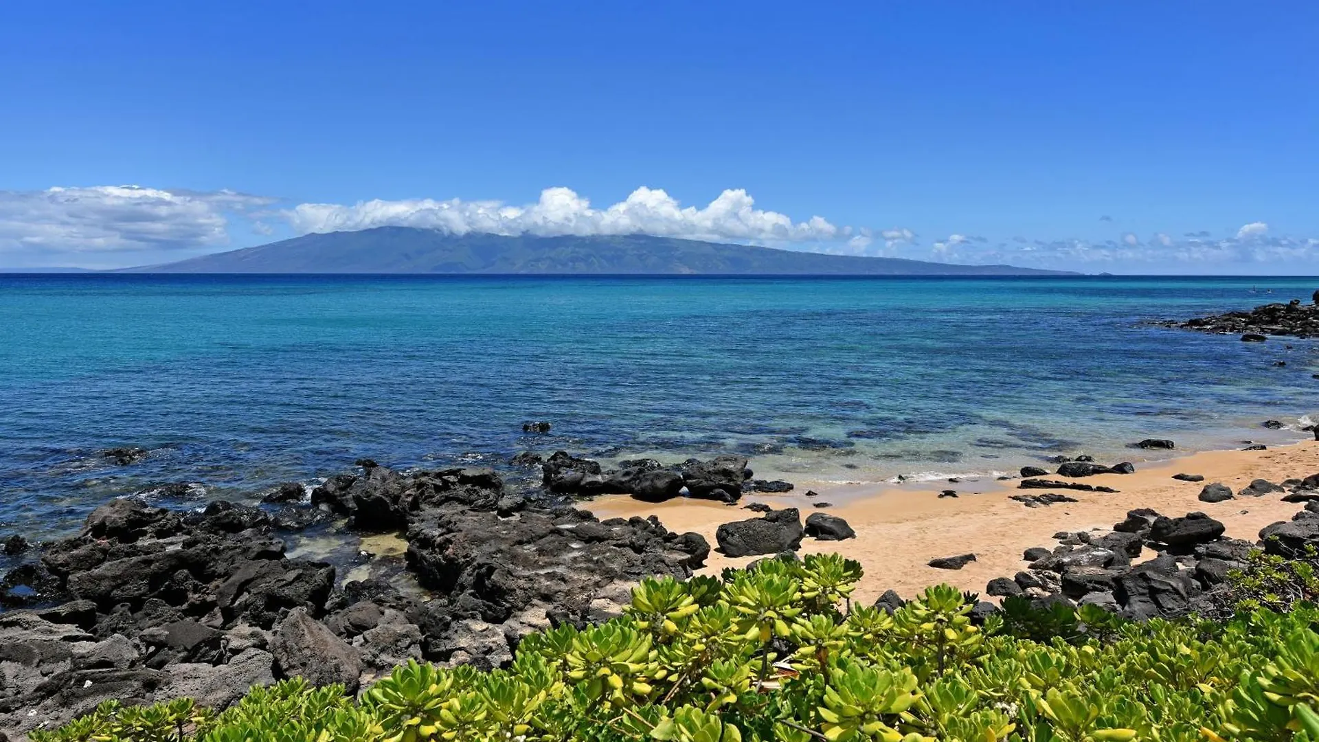 Largest One Bedroom At Kuleana - Oceanfront Unit!! 105 Apartment *