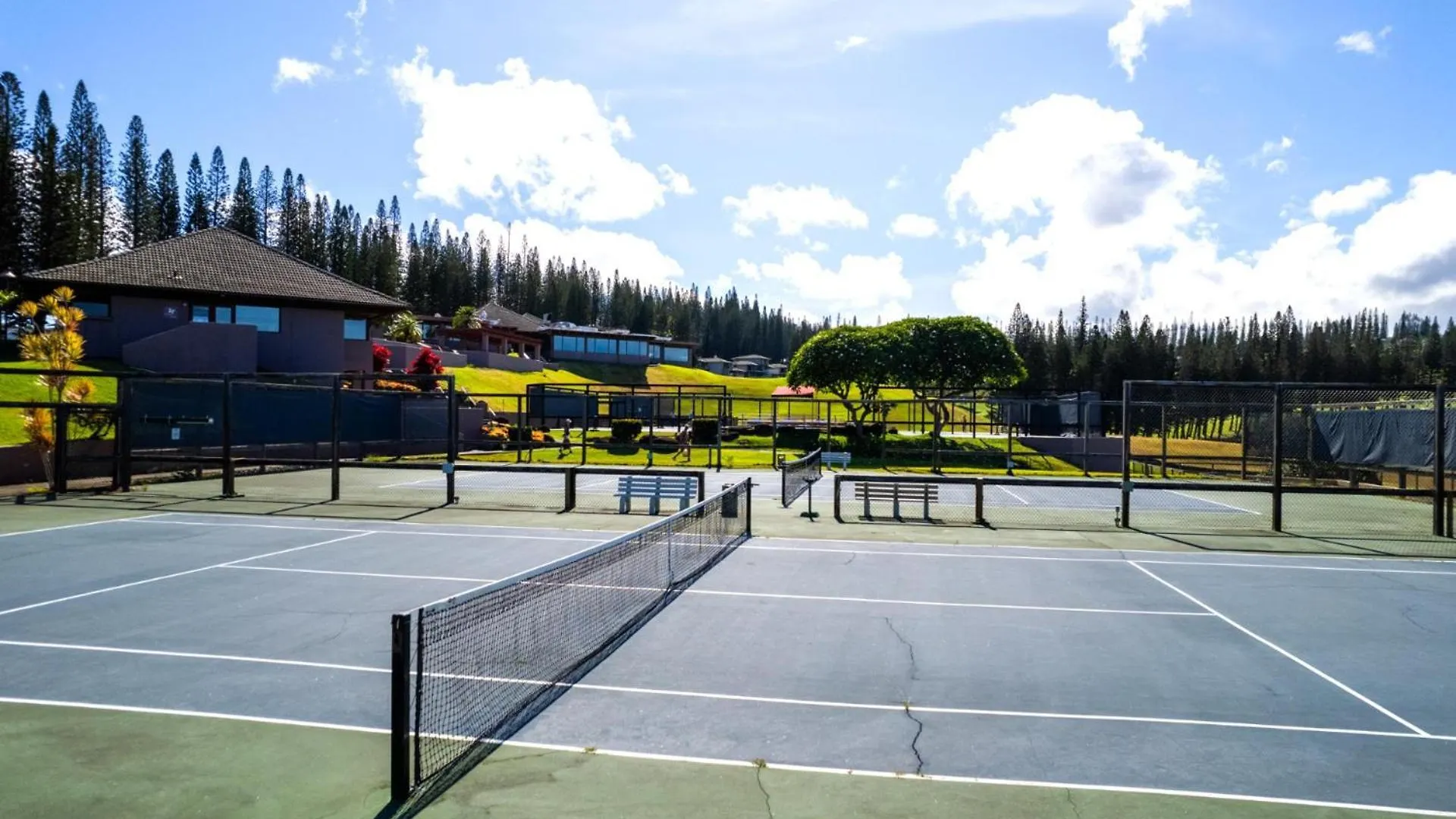 Kbm Free Car Golf Kgv-24p2 Remodeled Ocean View * Kapalua