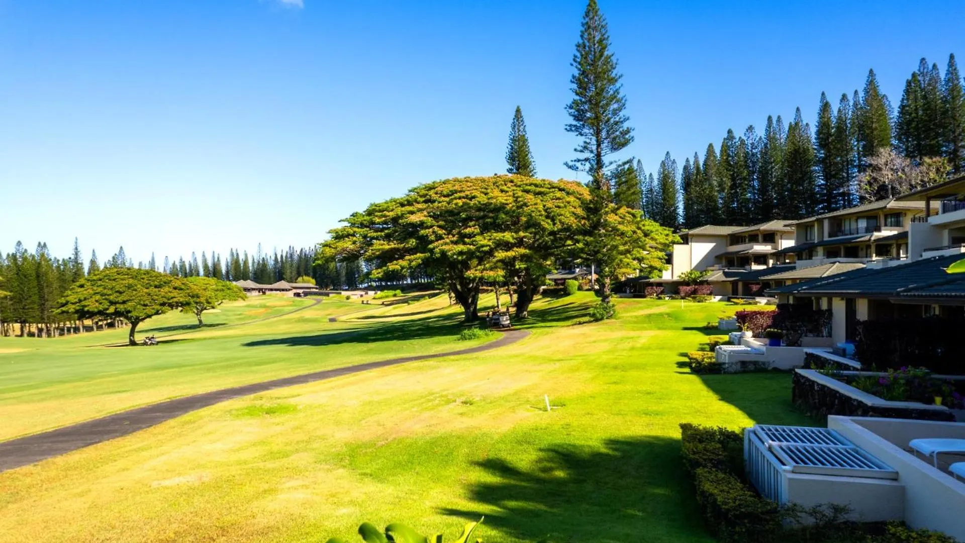 Kbm Free Car Golf Kgv-24p2 Remodeled Ocean View
