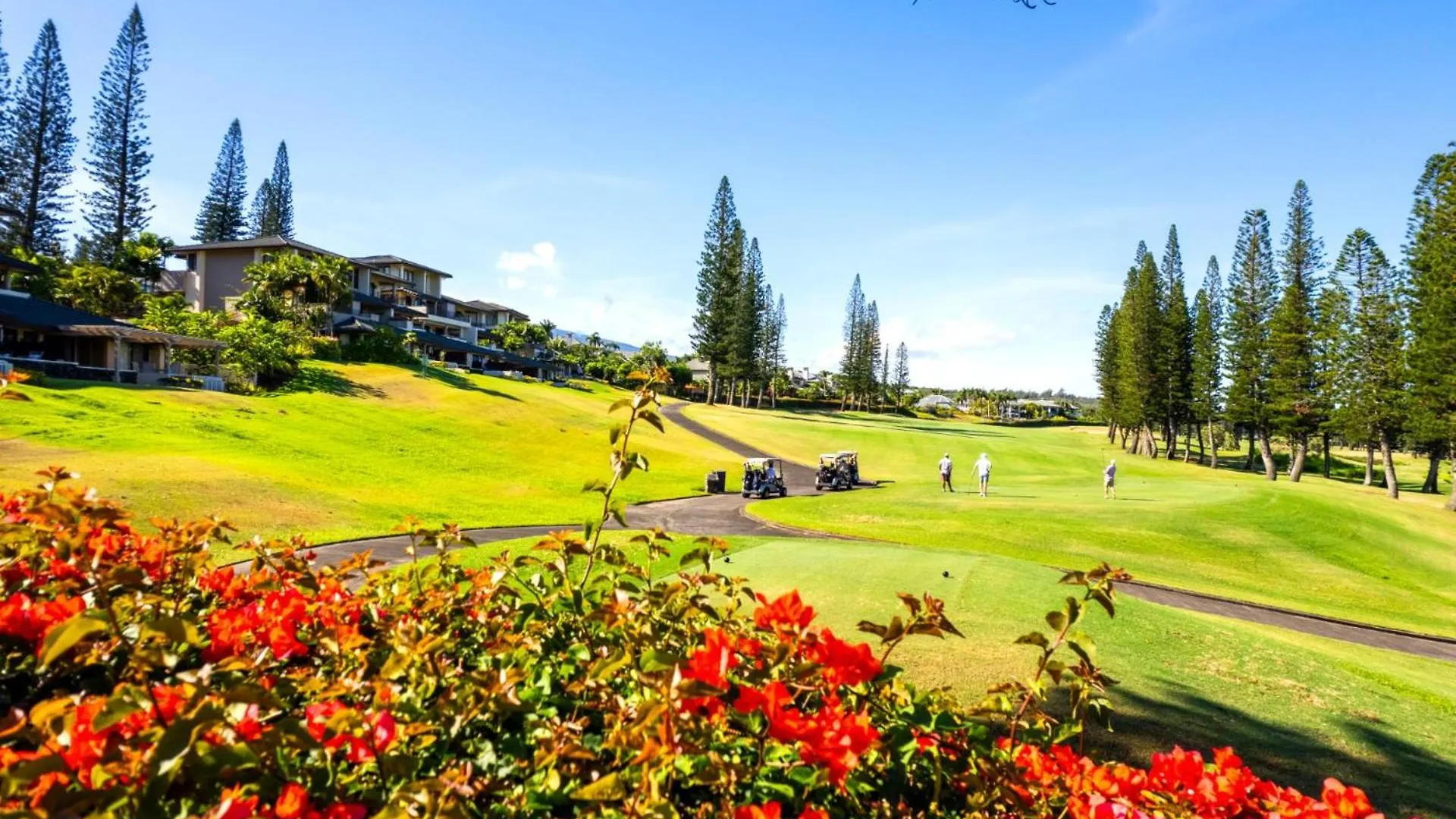 Kbm Free Car Golf Kgv-24p2 Remodeled Ocean View Apartment *