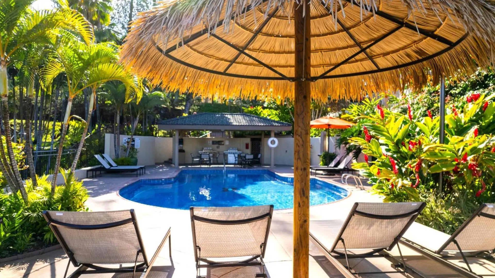 Apartment Kbm Free Car Golf Kgv-24p2 Remodeled Ocean View