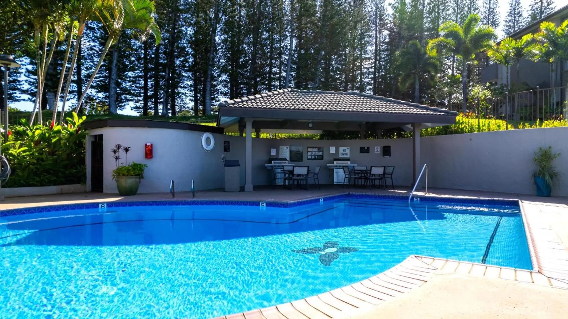Kbm Free Car Golf Kgv-24p2 Remodeled Ocean View Kapalua