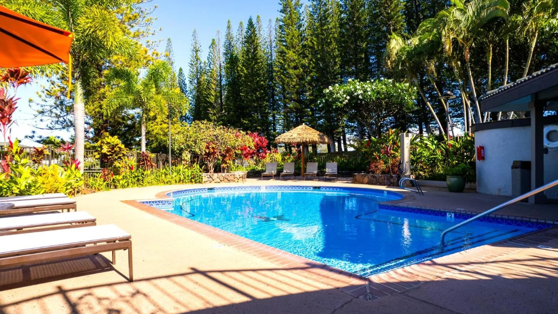 Apartment Kbm Free Car Golf Kgv-24p2 Remodeled Ocean View *