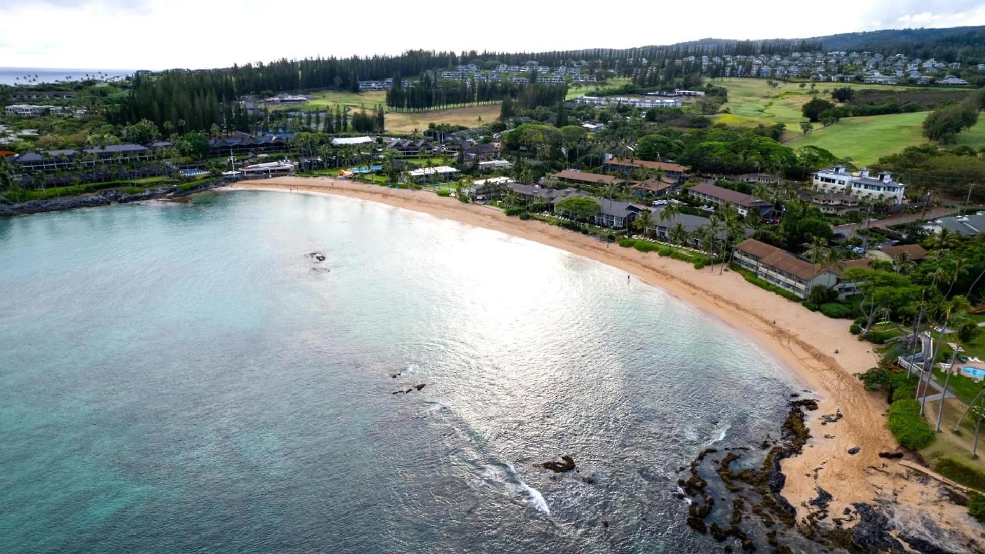 Kbm Free Car Napili Point Nap-a25 Stunning Ocean Front Turtle Views Kapalua