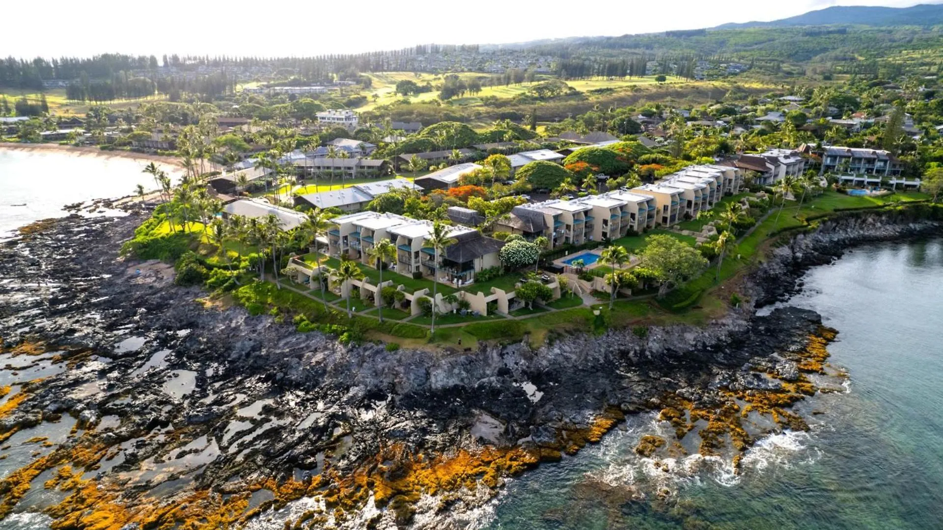 Kbm Free Car Napili Point Nap-a25 Stunning Ocean Front Turtle Views Lägenhet