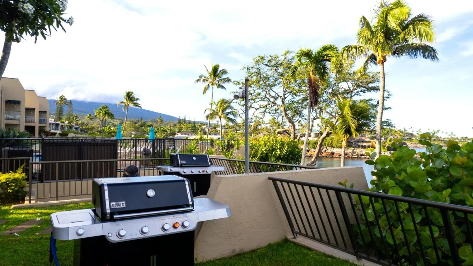 Kbm Free Car Napili Point Nap-a25 Stunning Ocean Front Turtle Views *