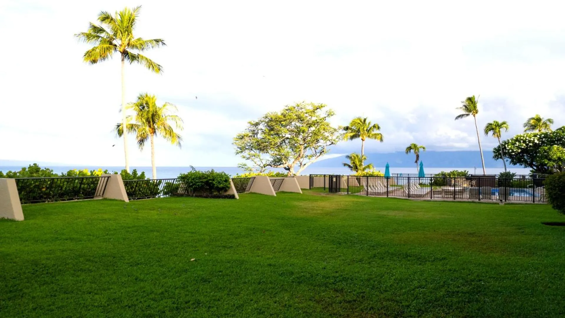 Kbm Free Car Napili Point Nap-a25 Stunning Ocean Front Turtle Views Kapalua
