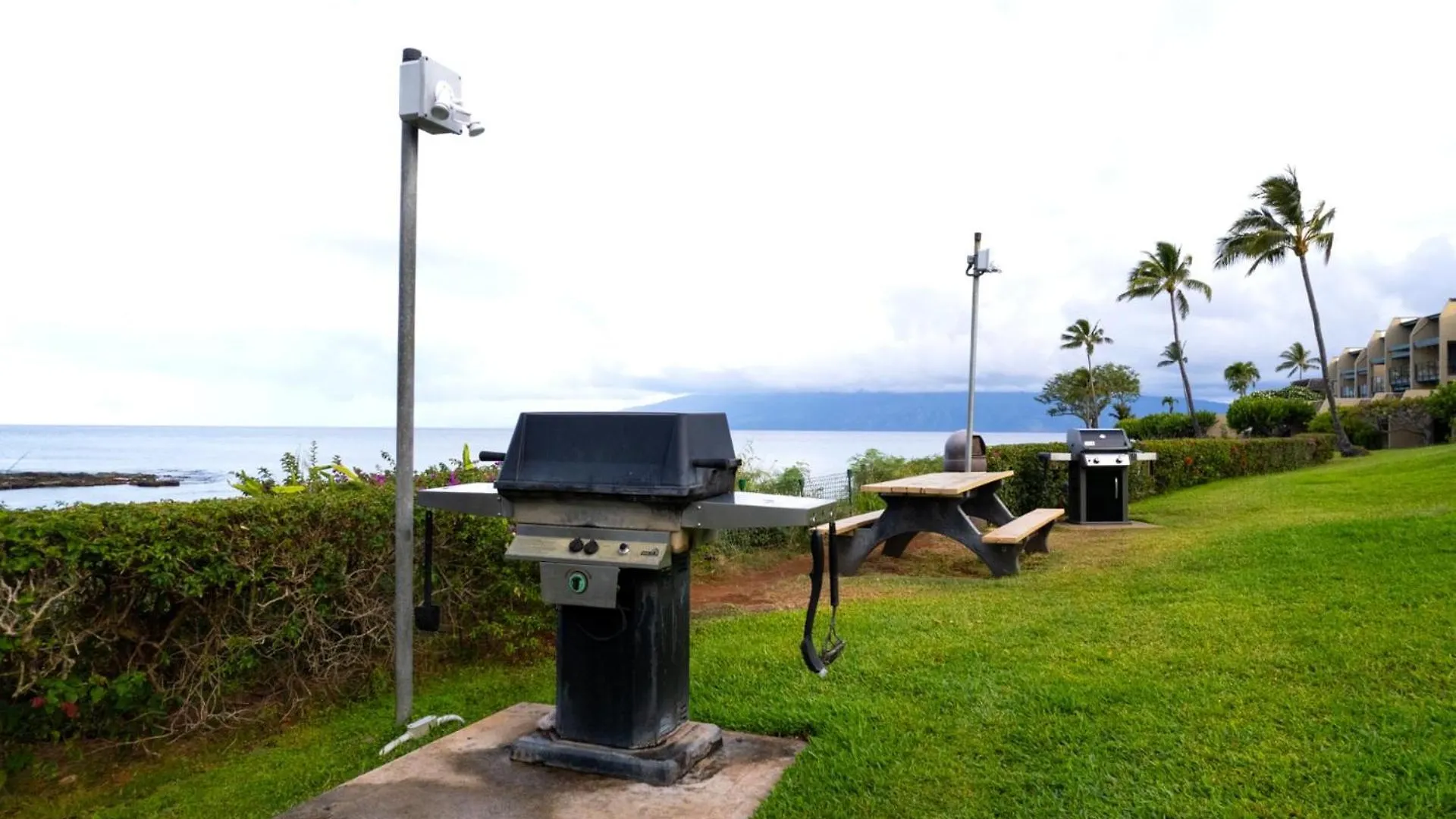 Kbm Free Car Napili Point Nap-a25 Stunning Ocean Front Turtle Views Kapalua