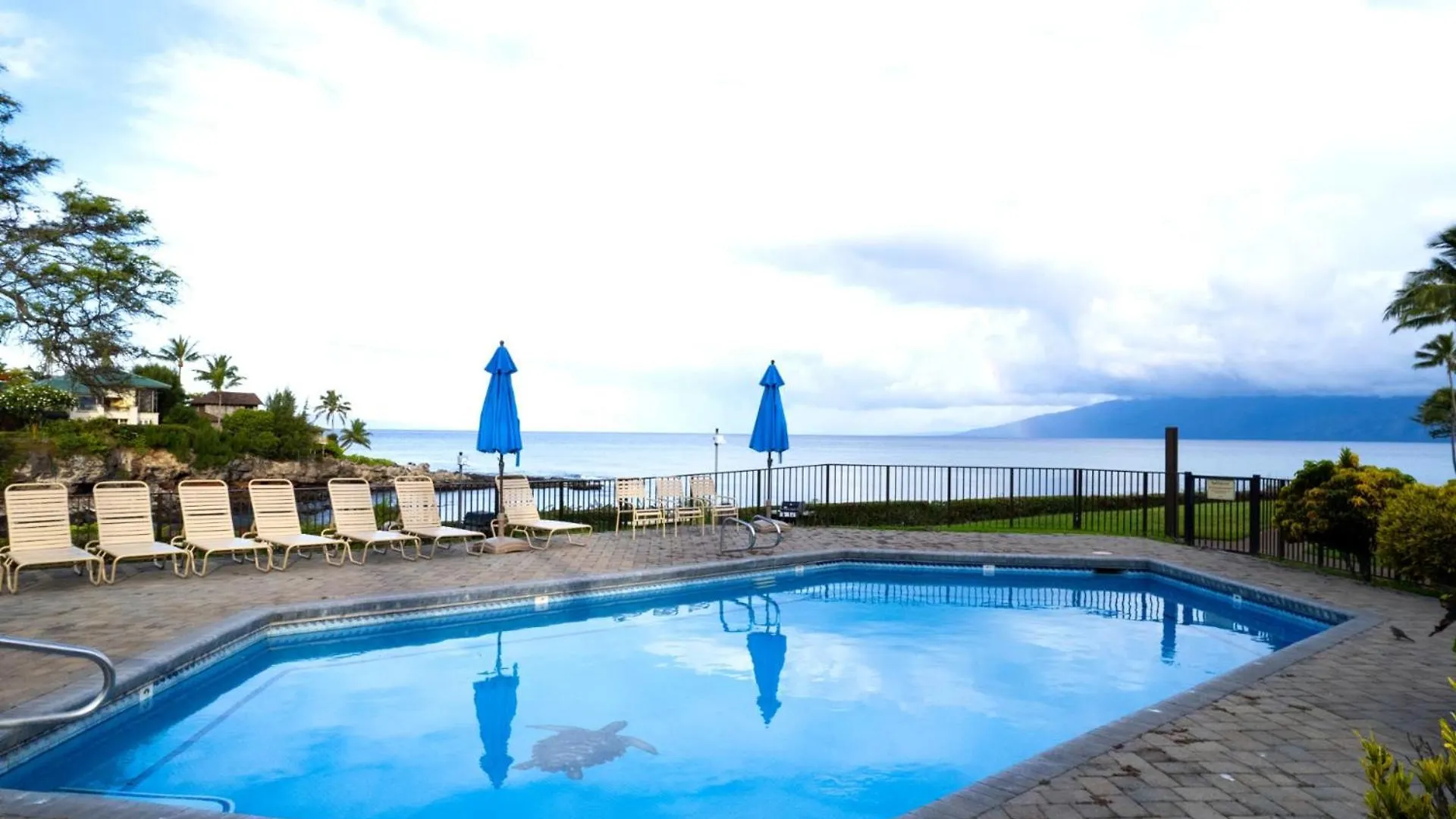 Lägenhet Kbm Free Car Napili Point Nap-a25 Stunning Ocean Front Turtle Views Kapalua