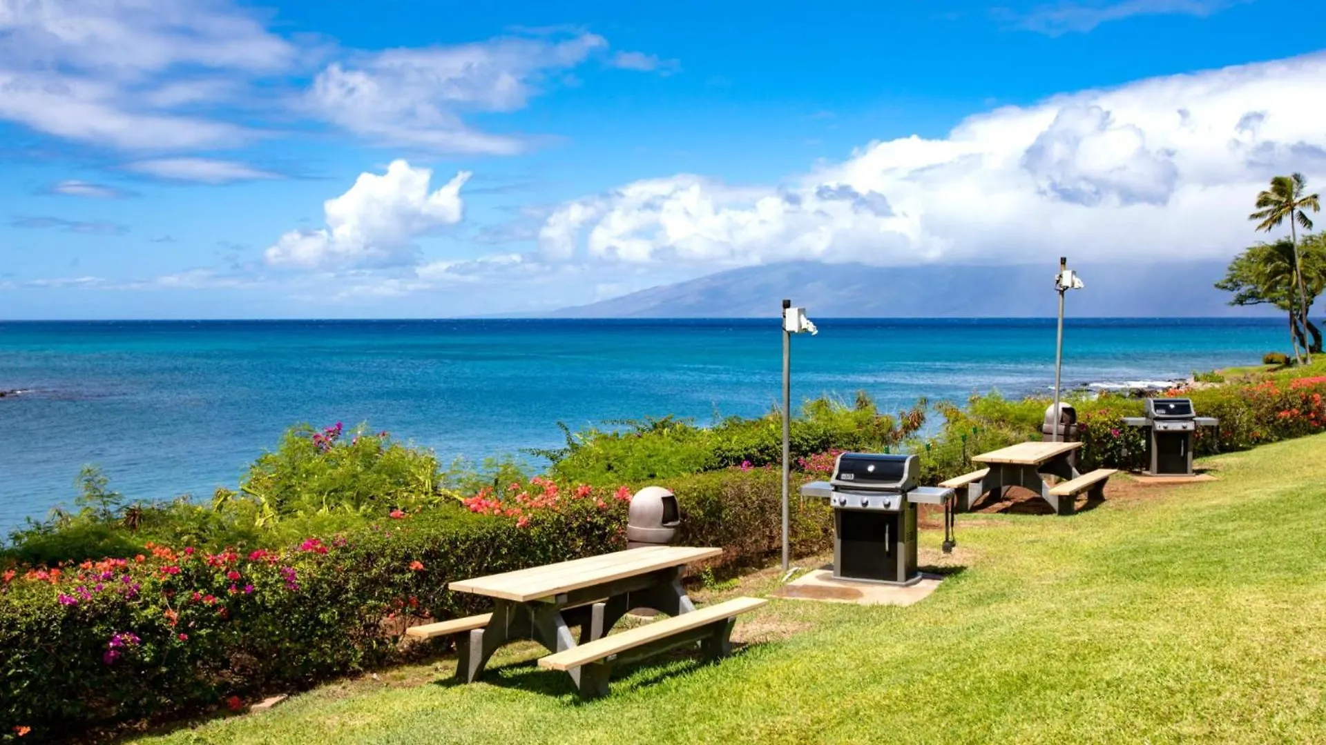 Kbm Free Car Napili Point Nap-a25 Stunning Ocean Front Turtle Views *