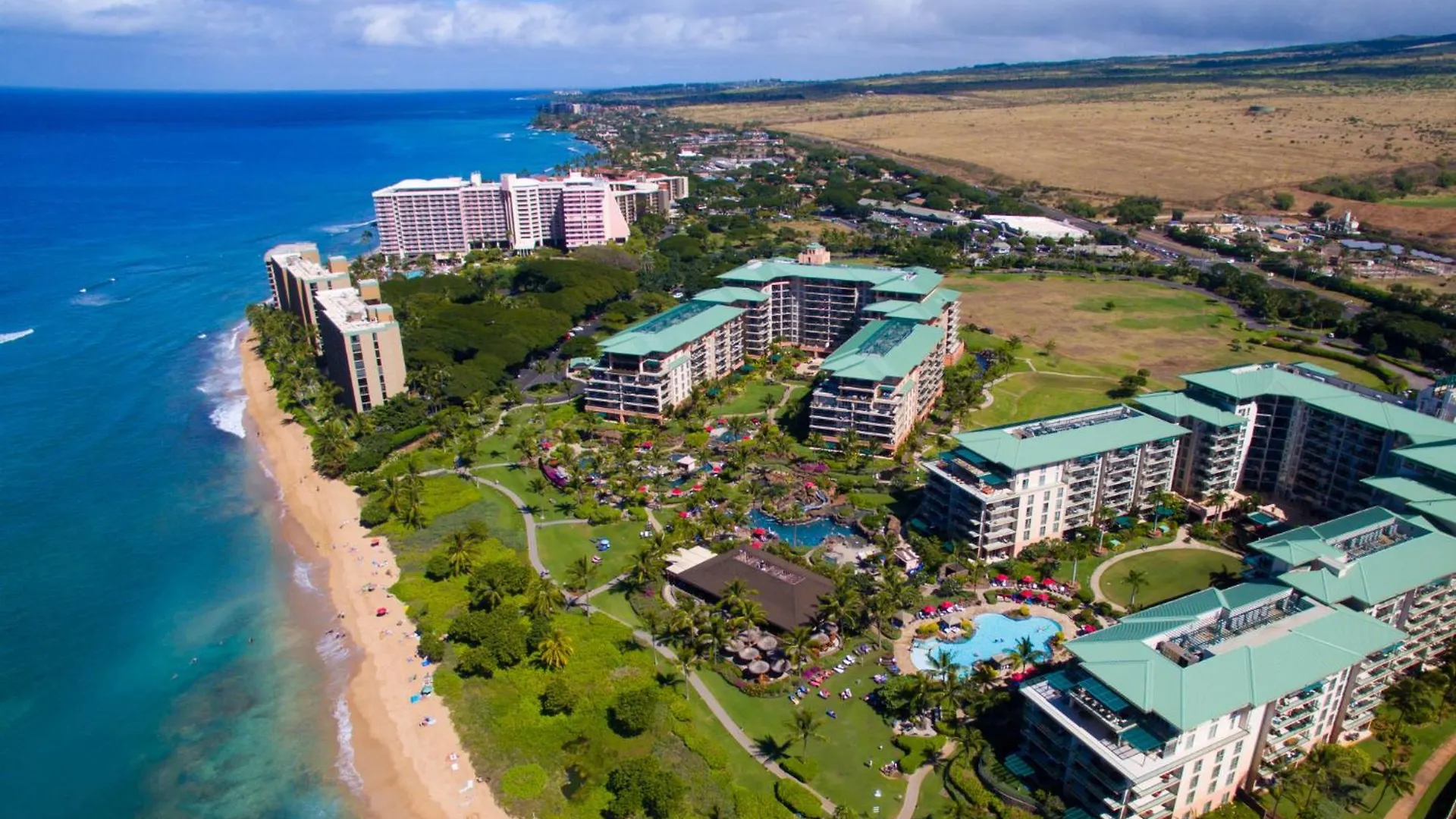 Apartment Exquisite One-bedroom, One-bathroom Beachfront Residence!