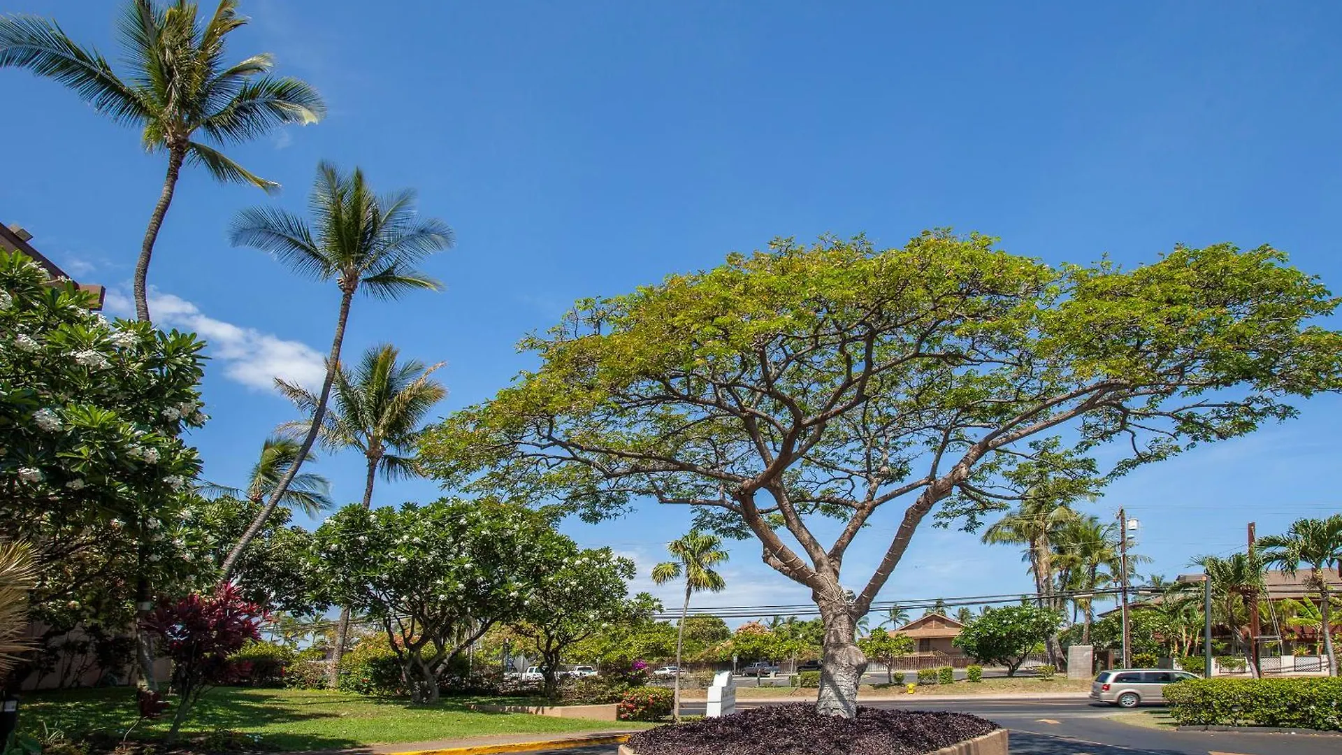 Maui Vista 1310 - Mch Holiday home Kihei