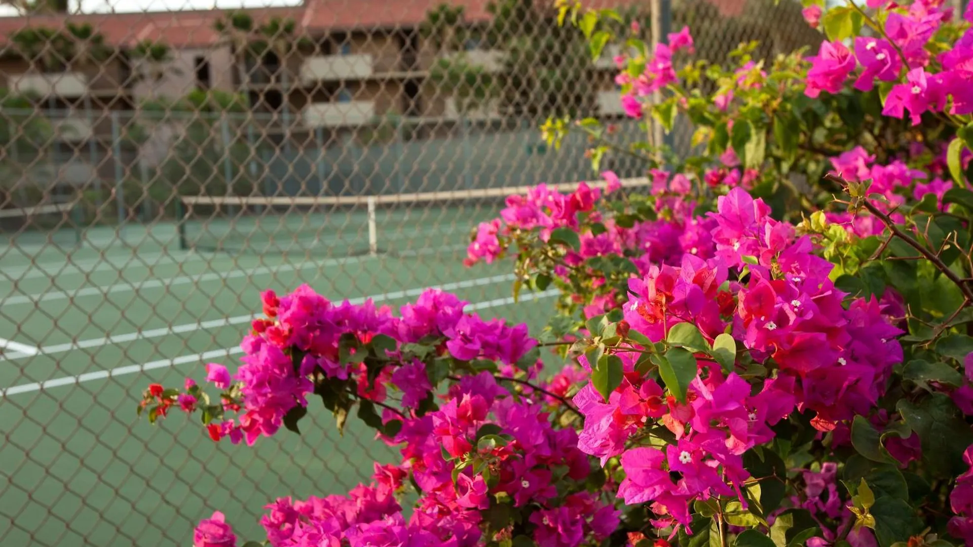 Maui Vista 1310 - Mch Kihei