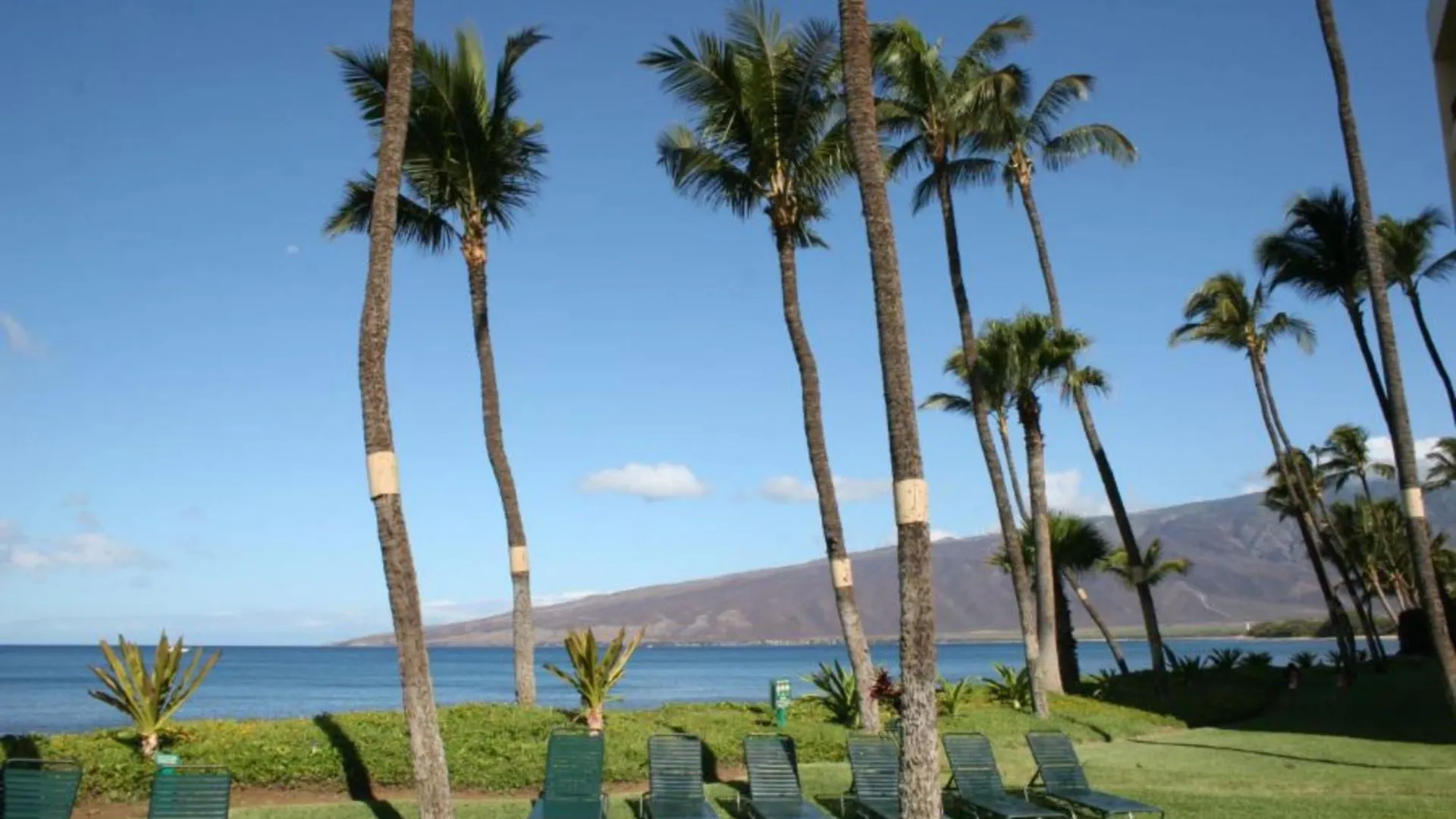 Sugar Resort, #524^ Apartment Kihei