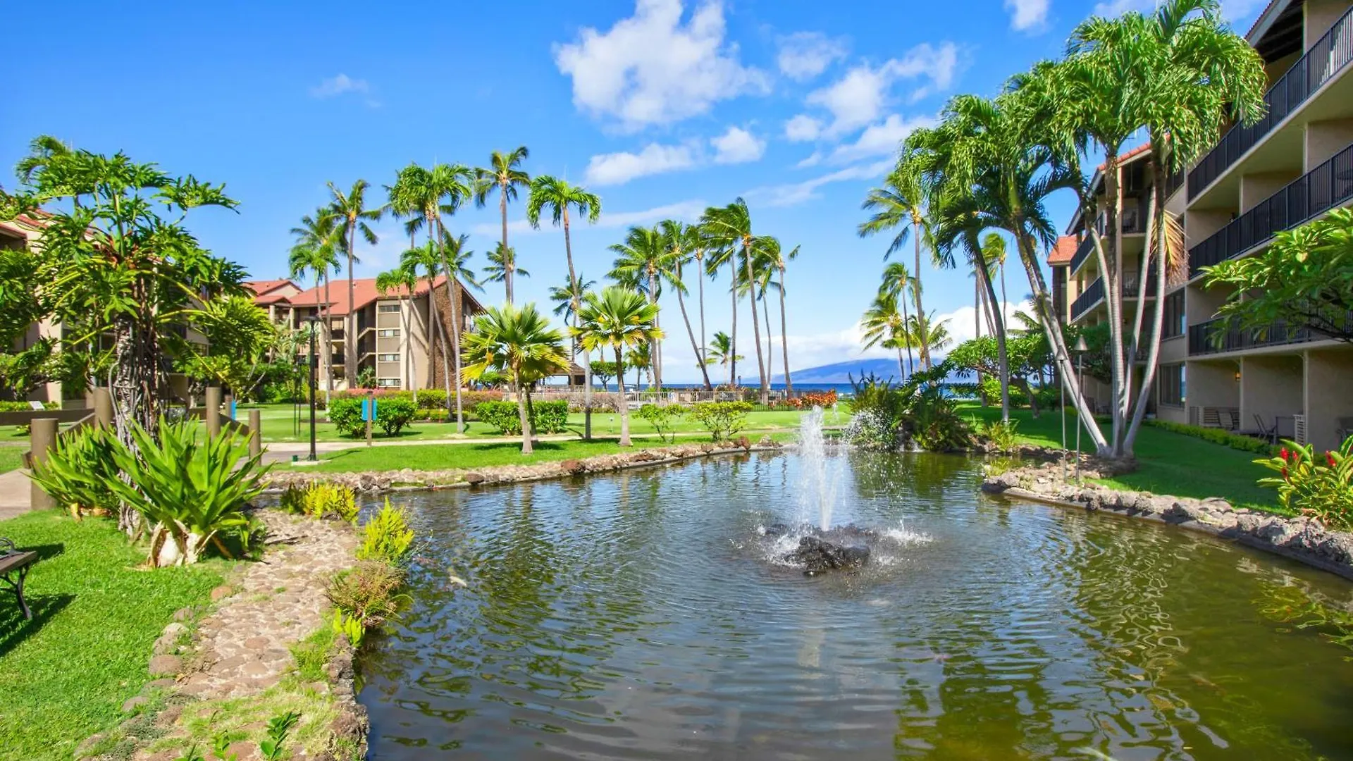 Papakea K301 - 1br Ocean View With Free Parking! * Kahana