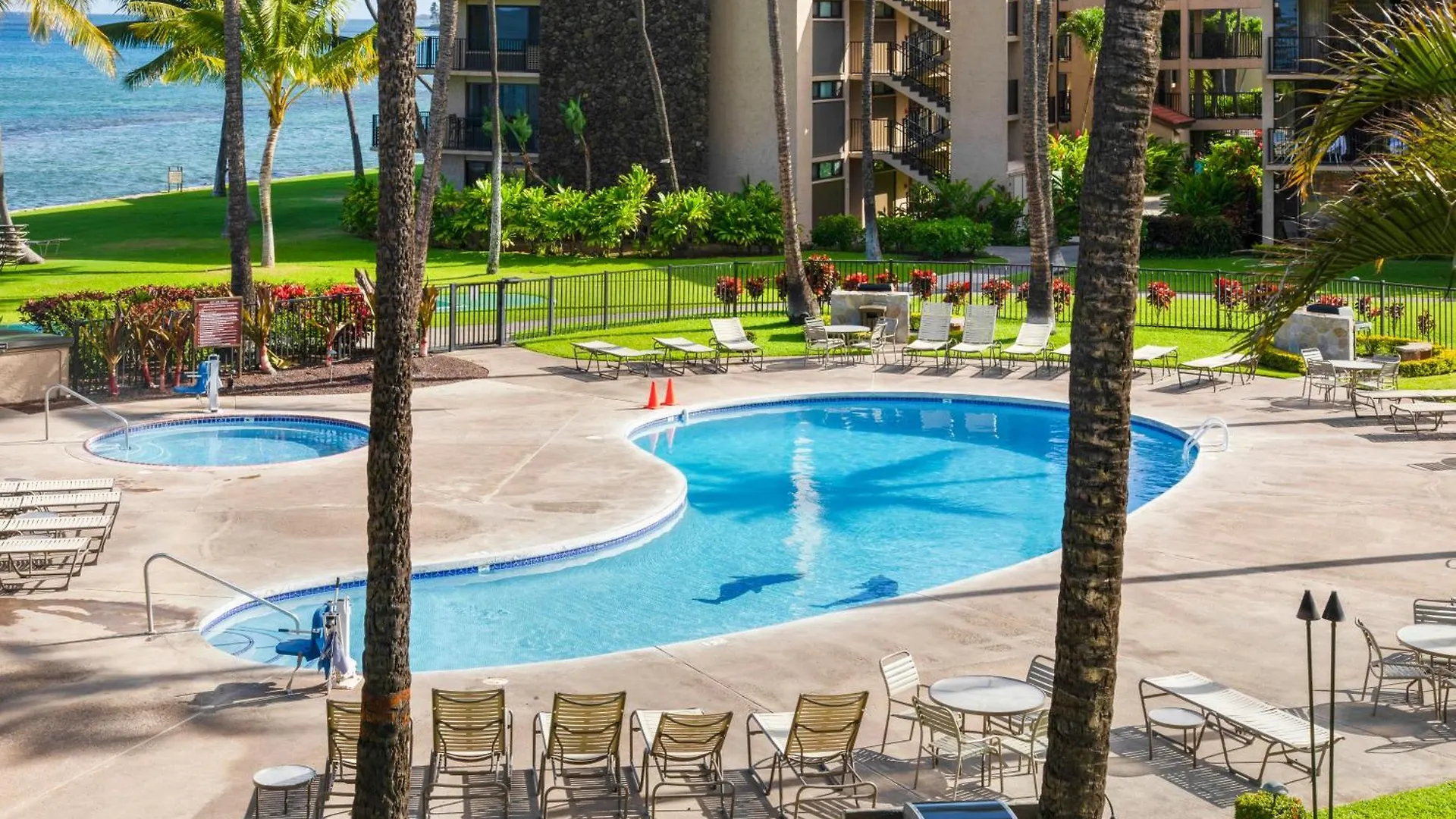 Lejlighed Papakea K301 - 1br Ocean View With Free Parking!